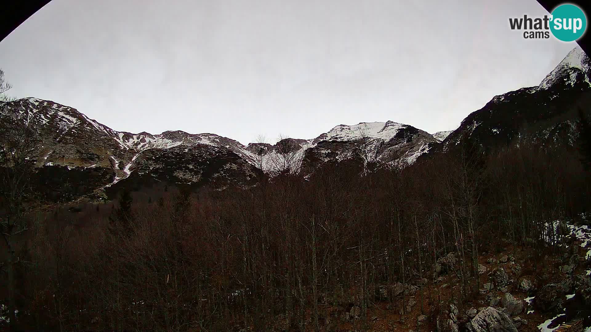 PLANINA RAZOR kamera (1315) | pogled na Vogel in Globoko
