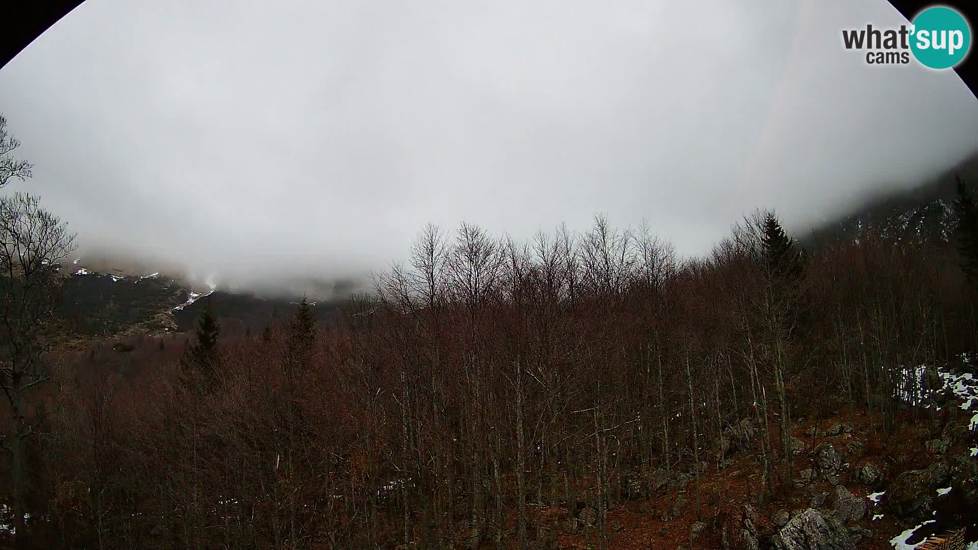 PLANINA RAZOR kamera (1315) | pogled na Vogel in Globoko