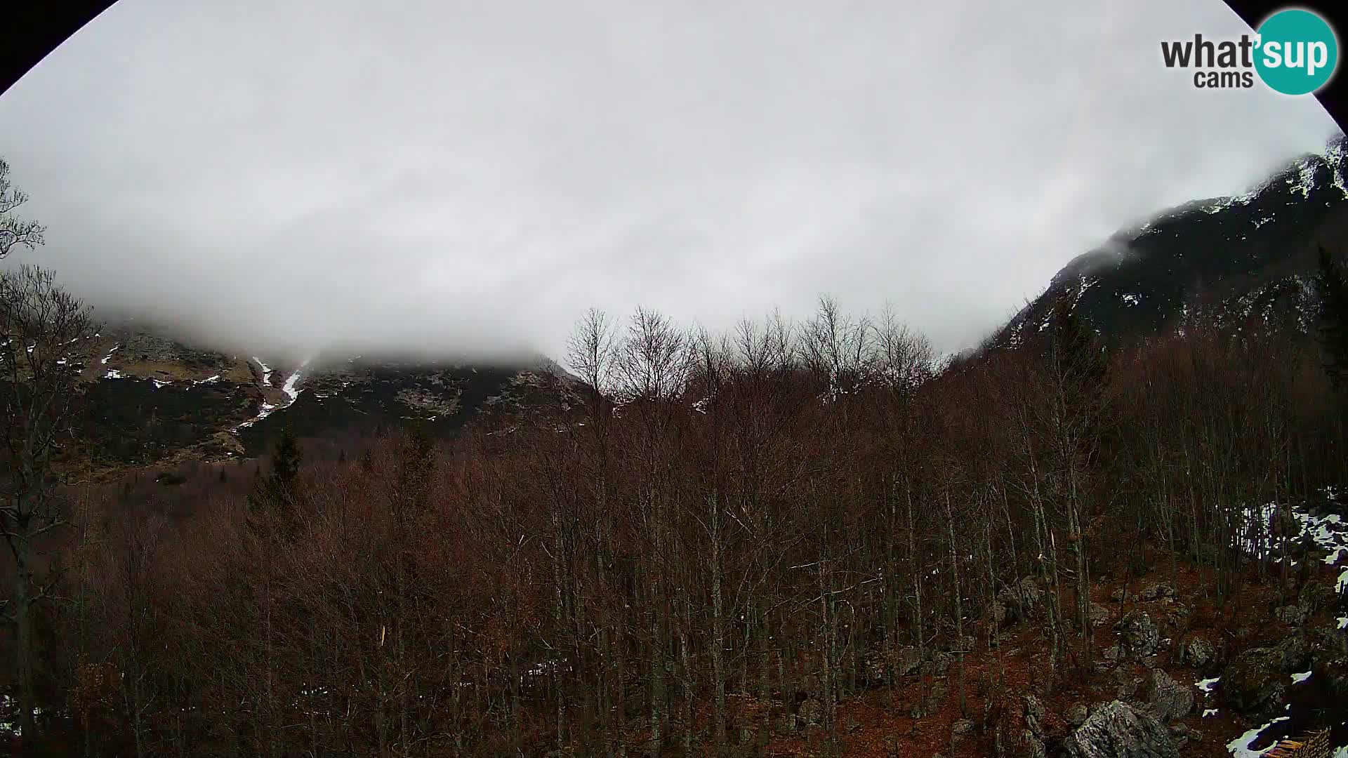 PLANINA RAZOR web kamera (1315) | pogled na Vogel i Globoko