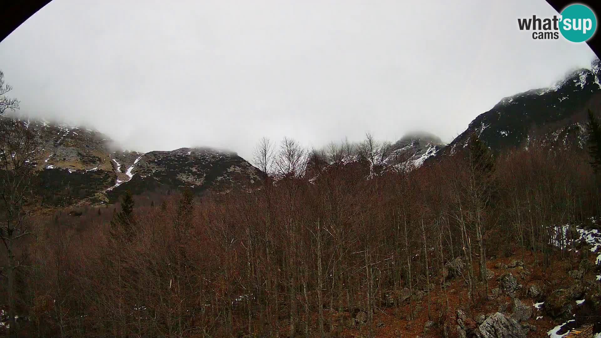 Webcam PLANINA RAZOR (1315) | Blick auf Vogel und Globoko