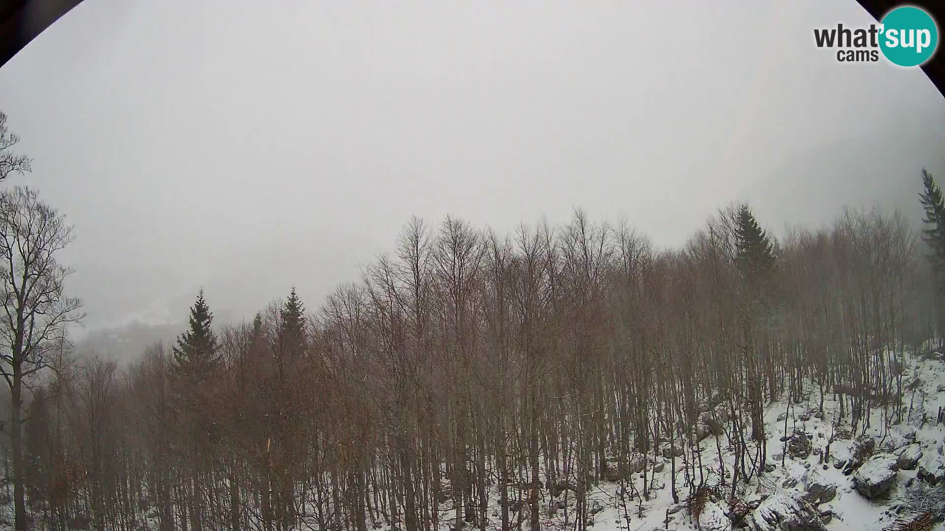 PLANINA RAZOR webcam (1315) | view to Vogel and Globoko
