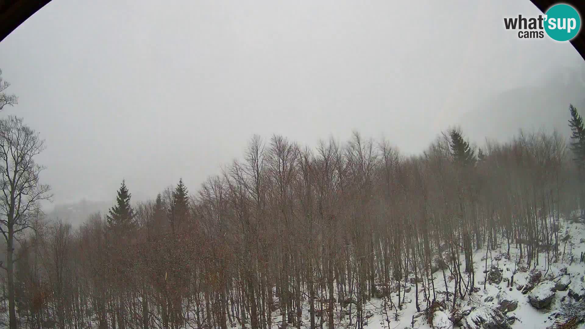 PLANINA RAZOR webcam (1315) | view to Vogel and Globoko