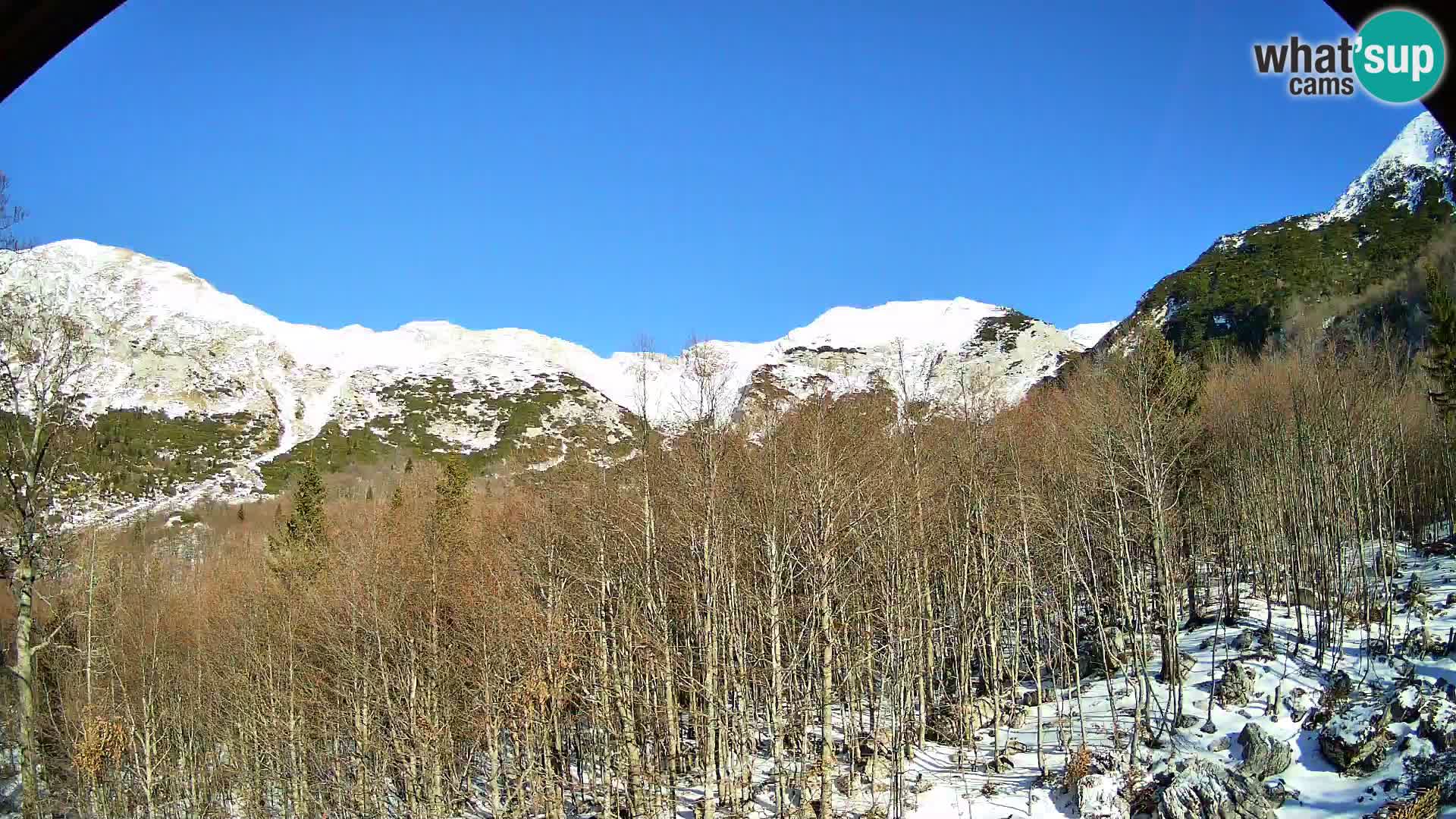 PLANINA RAZOR webcam (1315) | view to Vogel and Globoko