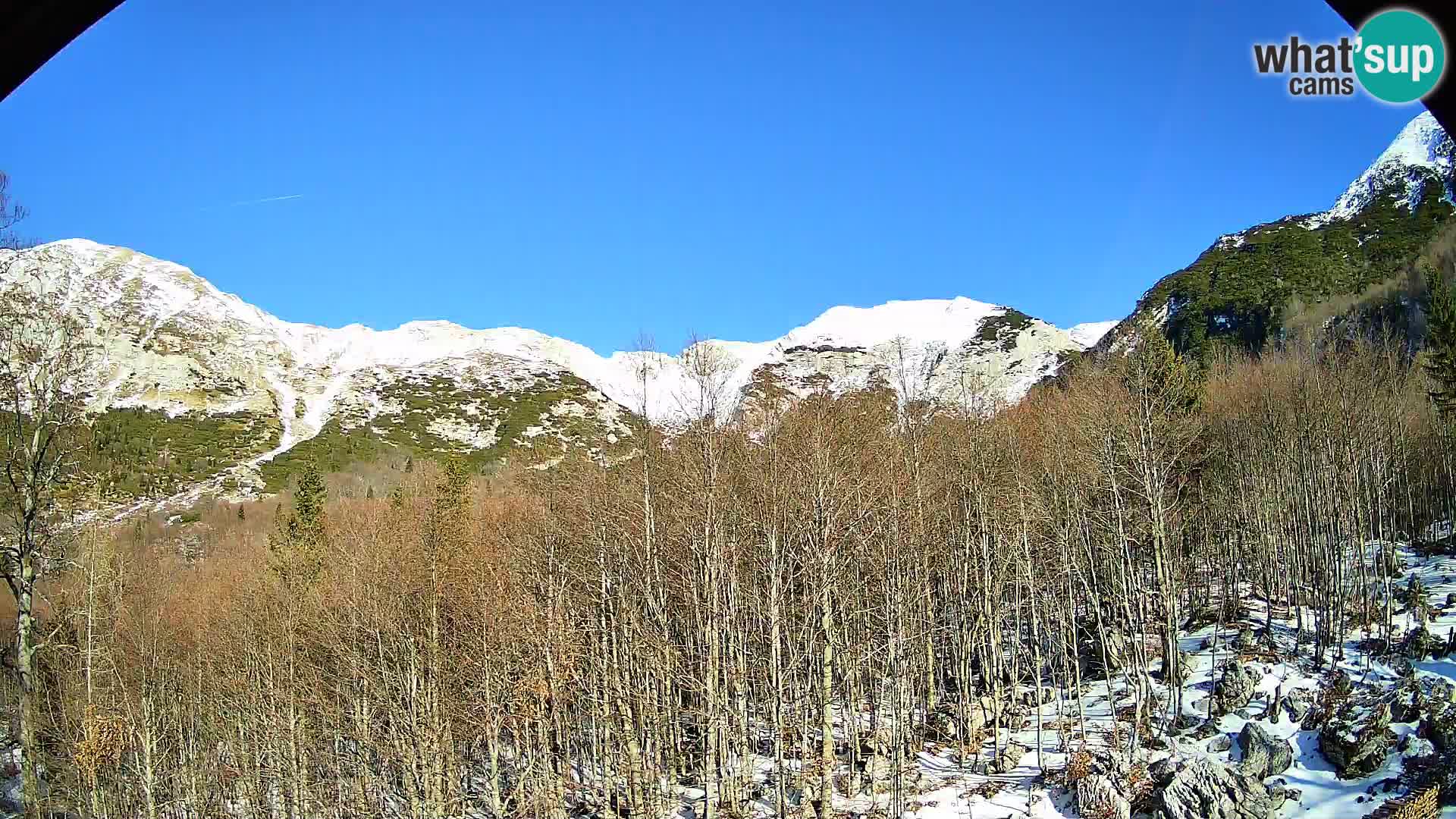 Webcam PLANINA RAZOR (1315) | Blick auf Vogel und Globoko