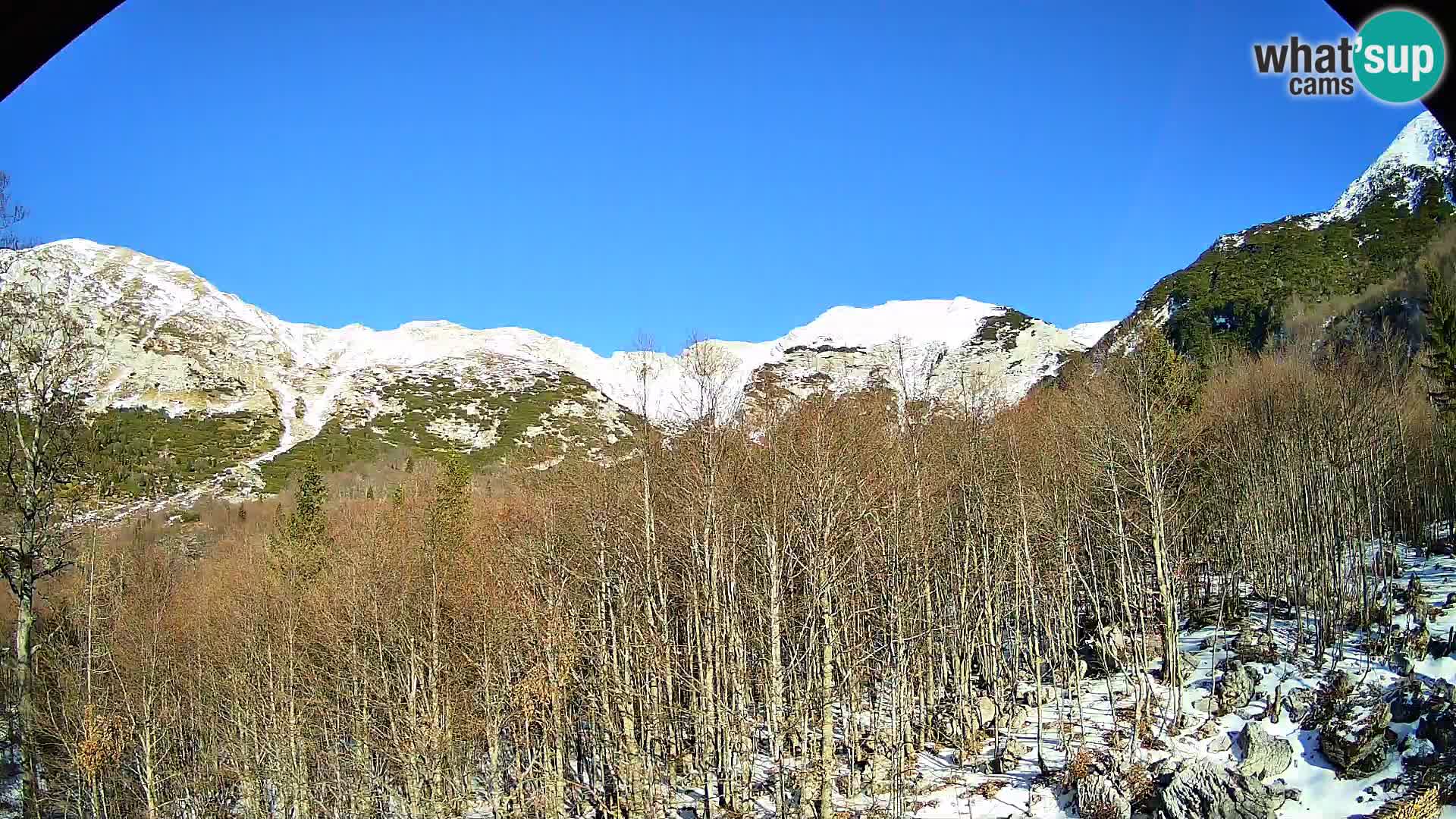 Livecam PLANINA RAZOR (1315) | vue sur Vogel et Globoko
