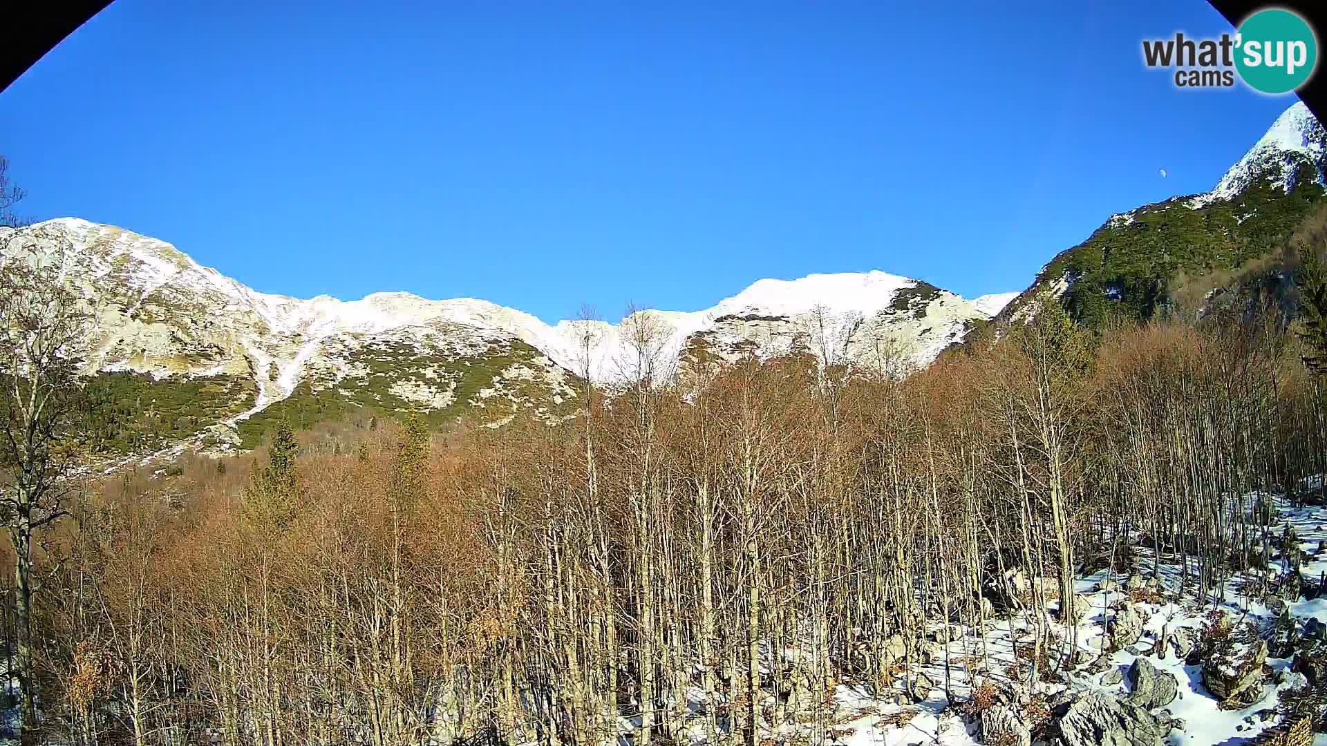 Webcam PLANINA RAZOR (1315) | Blick auf Vogel und Globoko