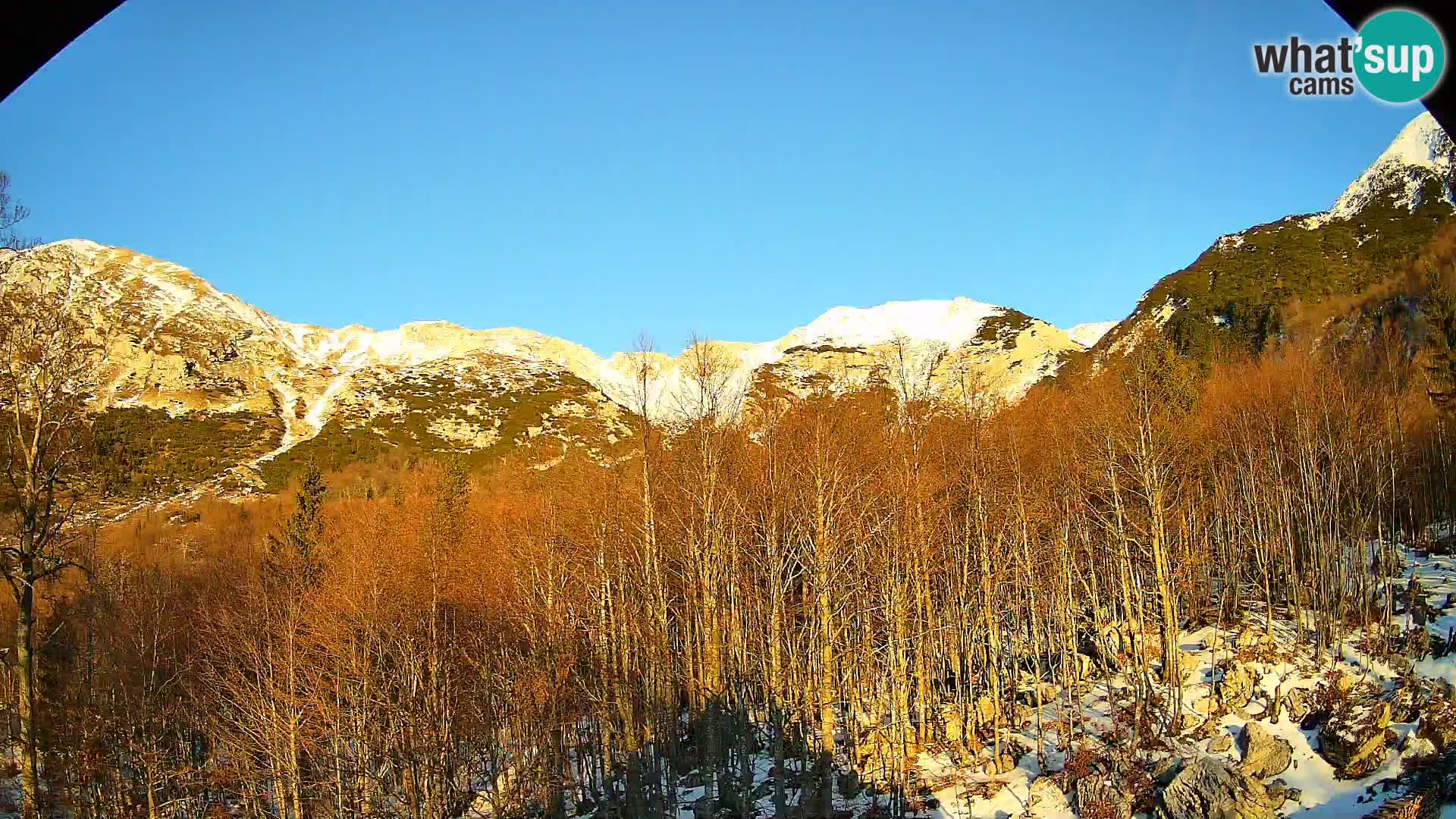Webcam PLANINA RAZOR (1315) | Blick auf Vogel und Globoko