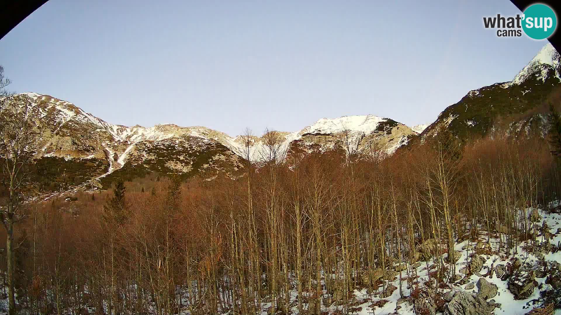 Webcam PLANINA RAZOR (1315) | Blick auf Vogel und Globoko
