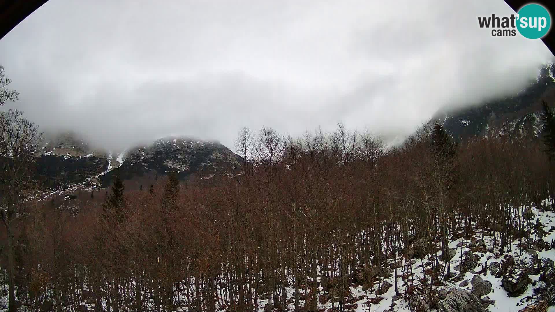 PLANINA RAZOR web kamera (1315) | pogled na Vogel i Globoko