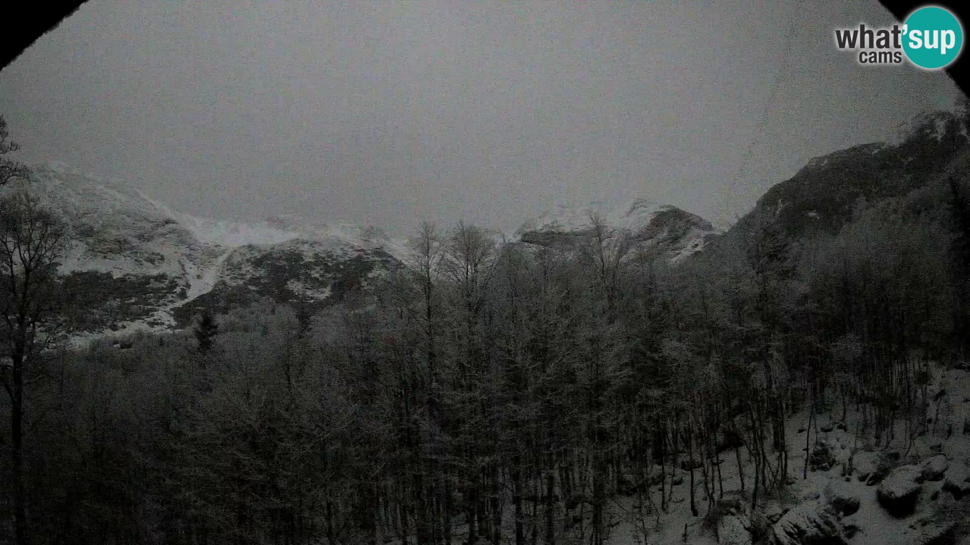 Cámara web PLANINA RAZOR (1315) | vista a Vogel y Globoko