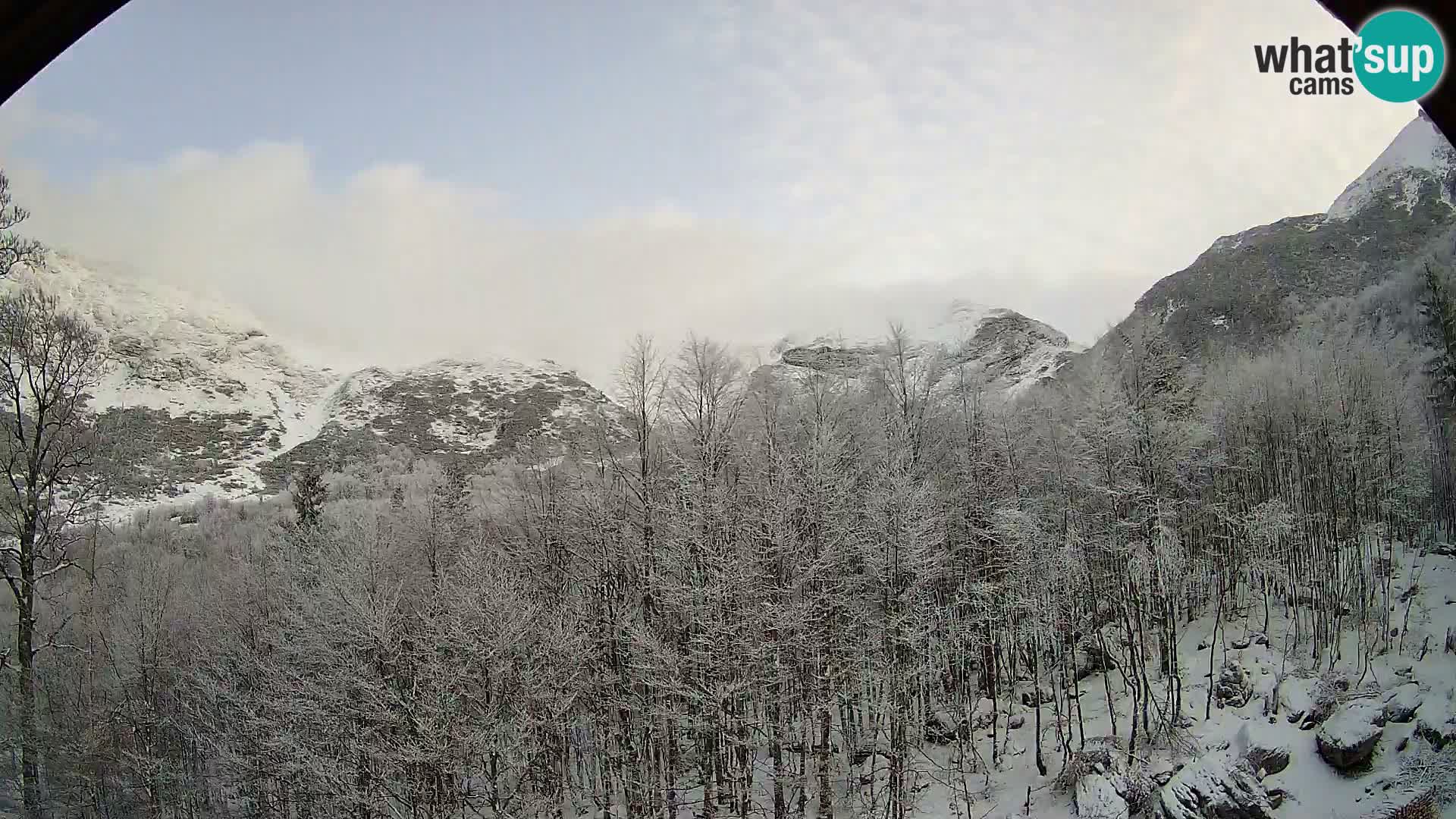 Webcam PLANINA RAZOR (1315) | Blick auf Vogel und Globoko