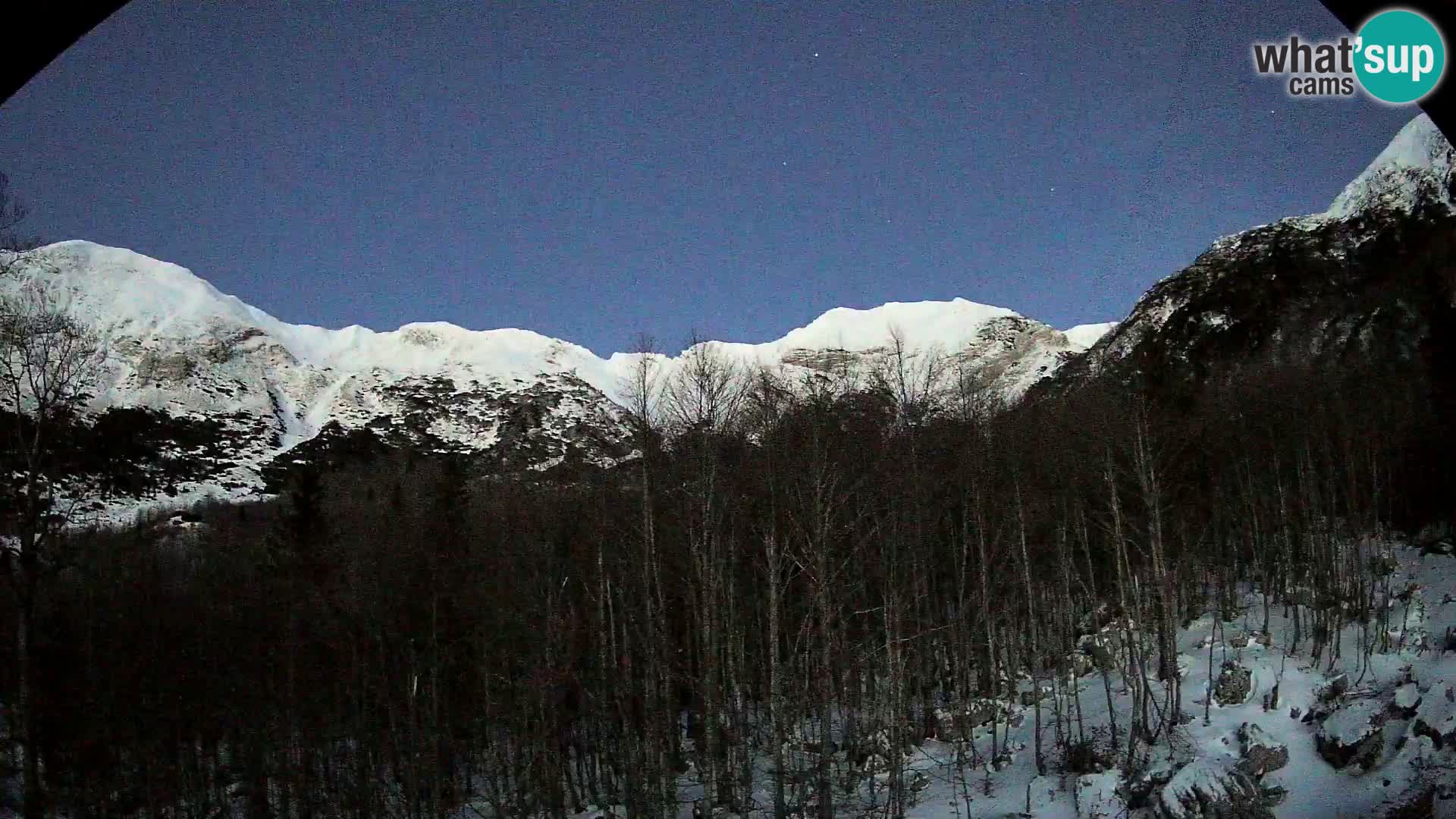 PLANINA RAZOR Live Cam (1315) | vista su Vogel e Globoko