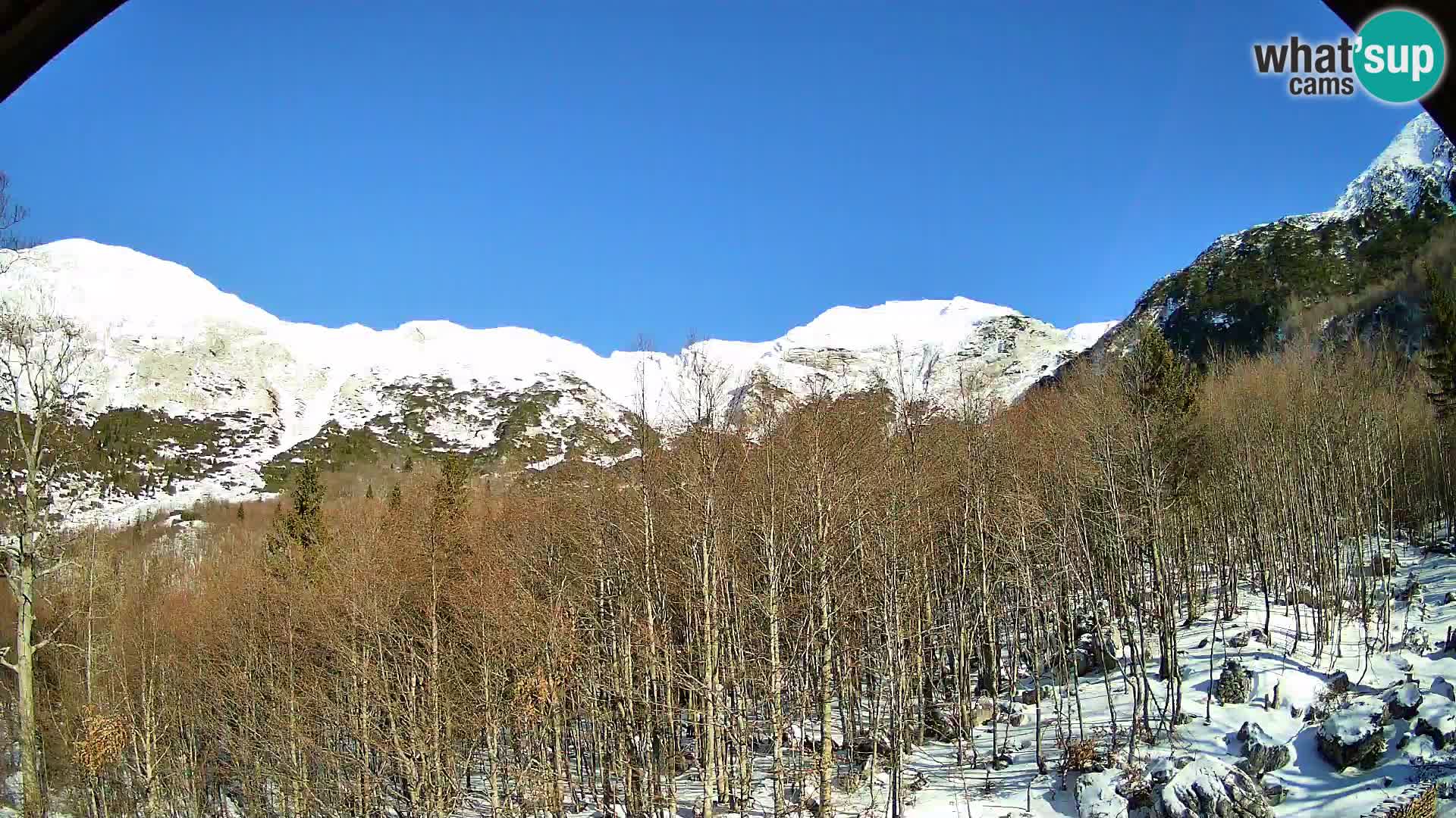 PLANINA RAZOR Live Cam (1315) | vista su Vogel e Globoko