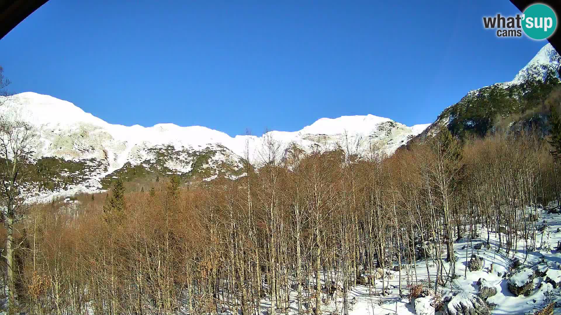 PLANINA RAZOR kamera (1315) | pogled na Vogel in Globoko