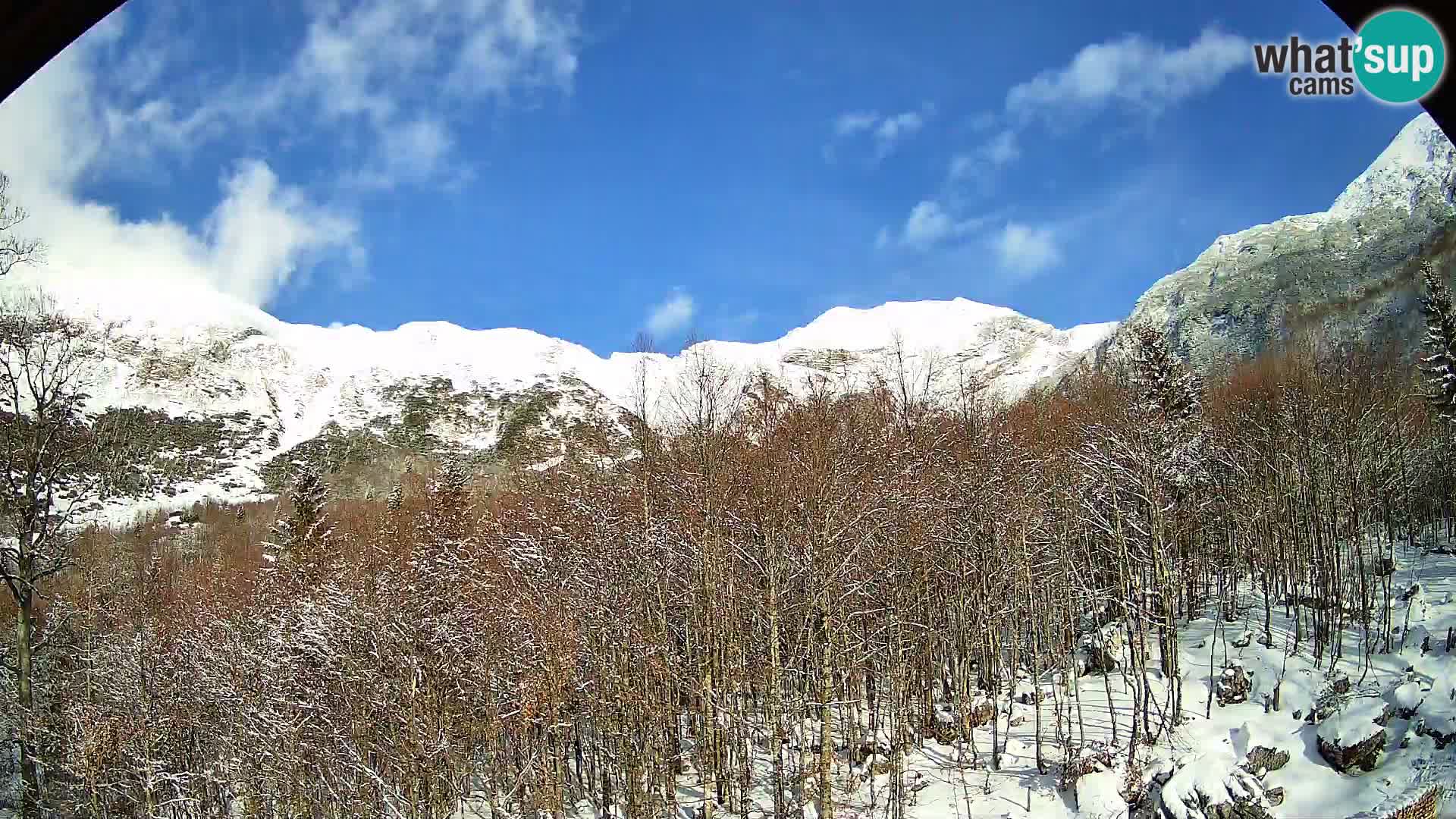 PLANINA RAZOR webcam (1315) | view to Vogel and Globoko