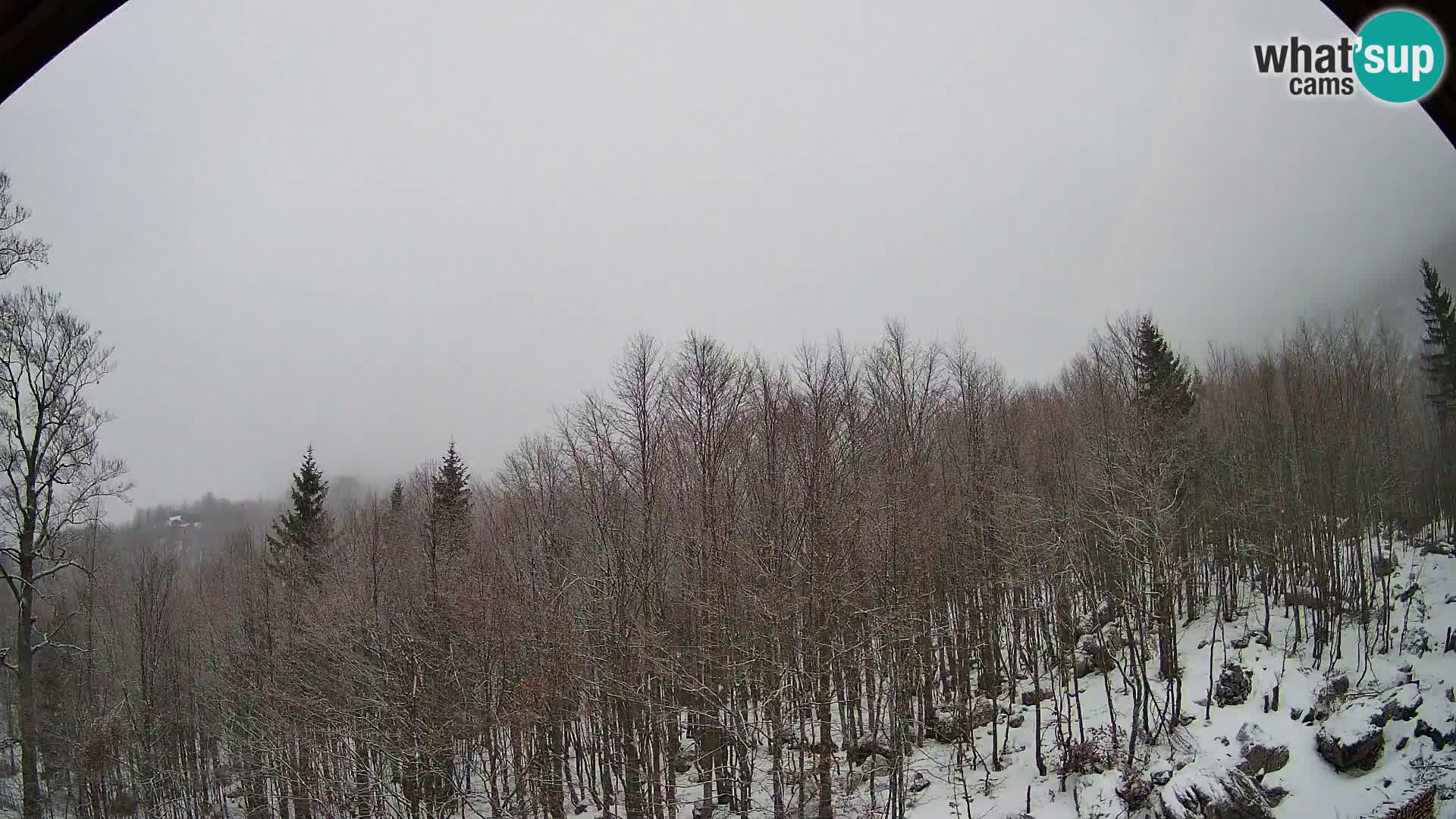 PLANINA RAZOR Live Cam (1315) | vista su Vogel e Globoko