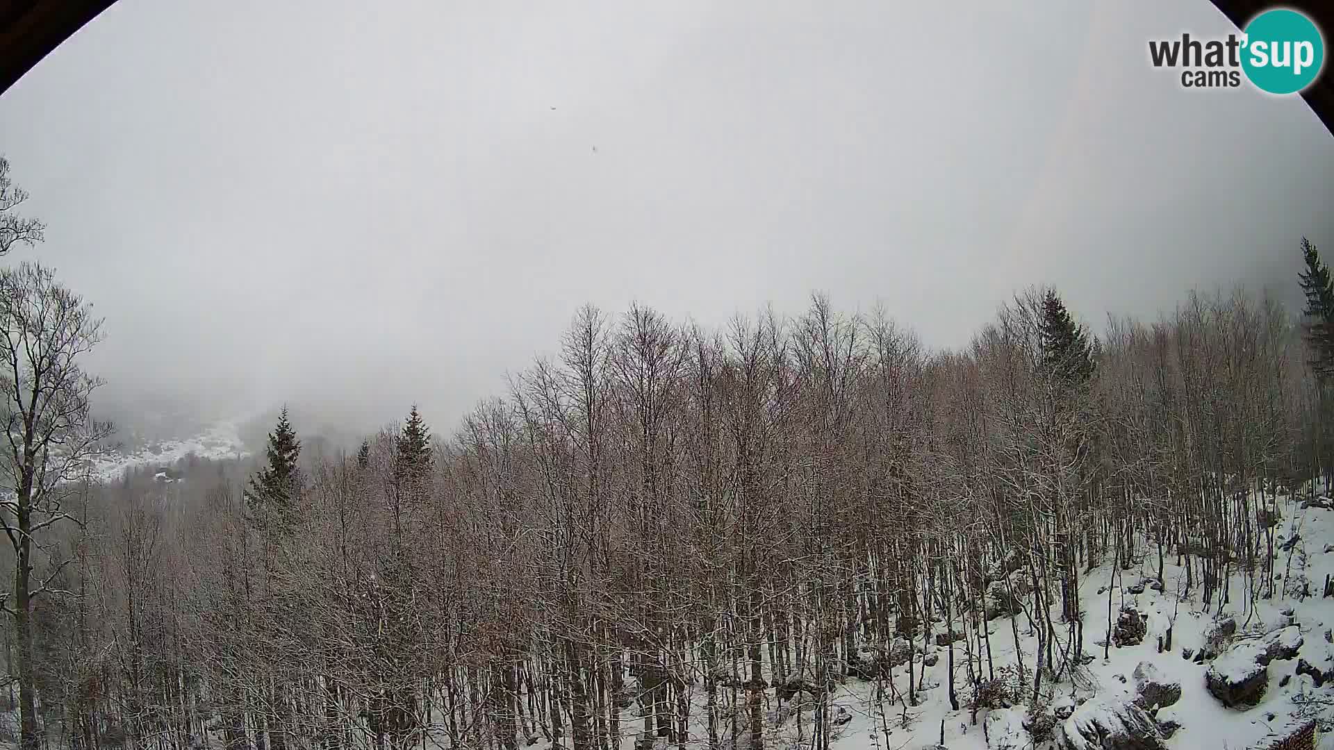 PLANINA RAZOR kamera (1315) | pogled na Vogel in Globoko