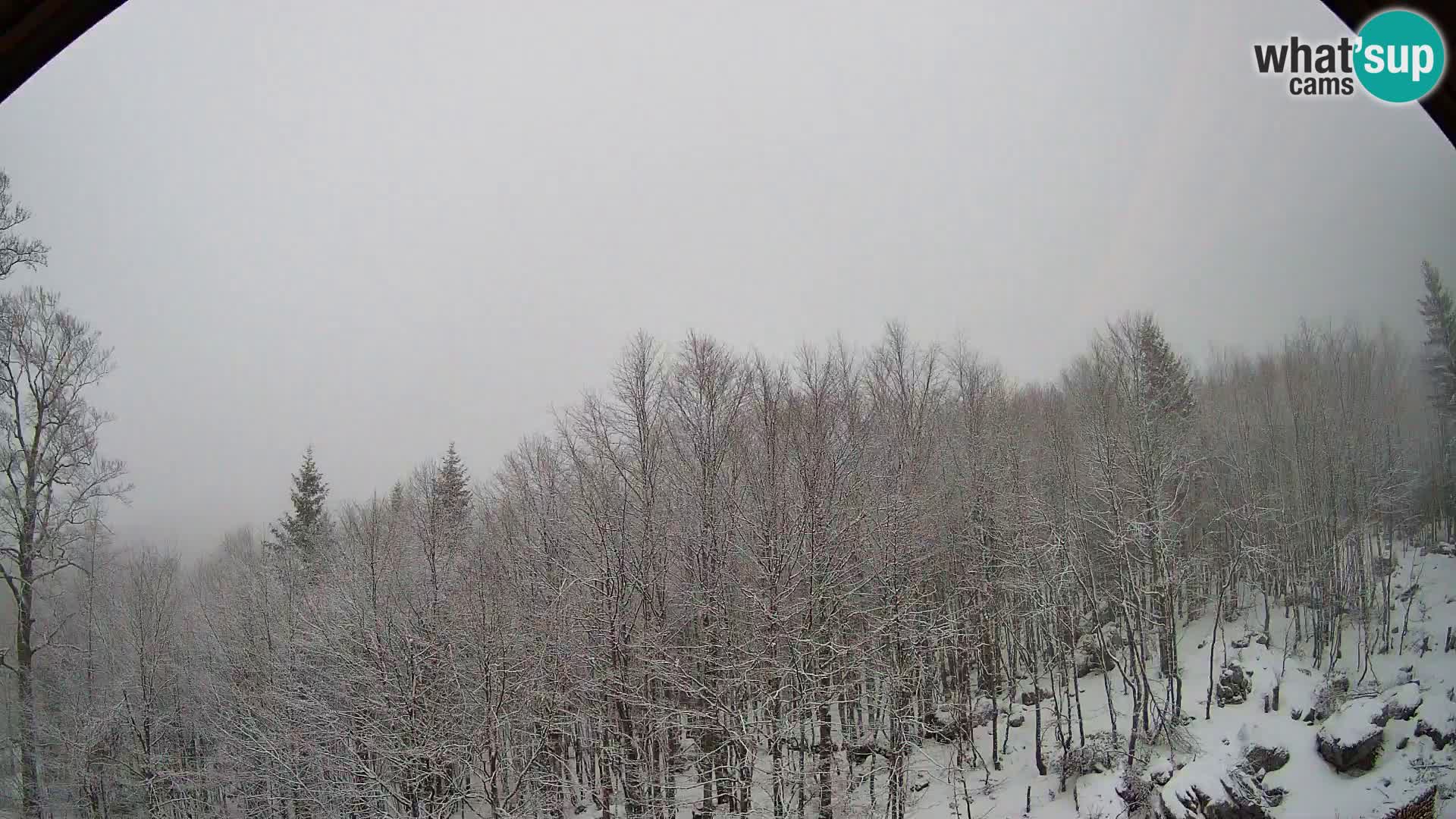 PLANINA RAZOR kamera (1315) | pogled na Vogel in Globoko