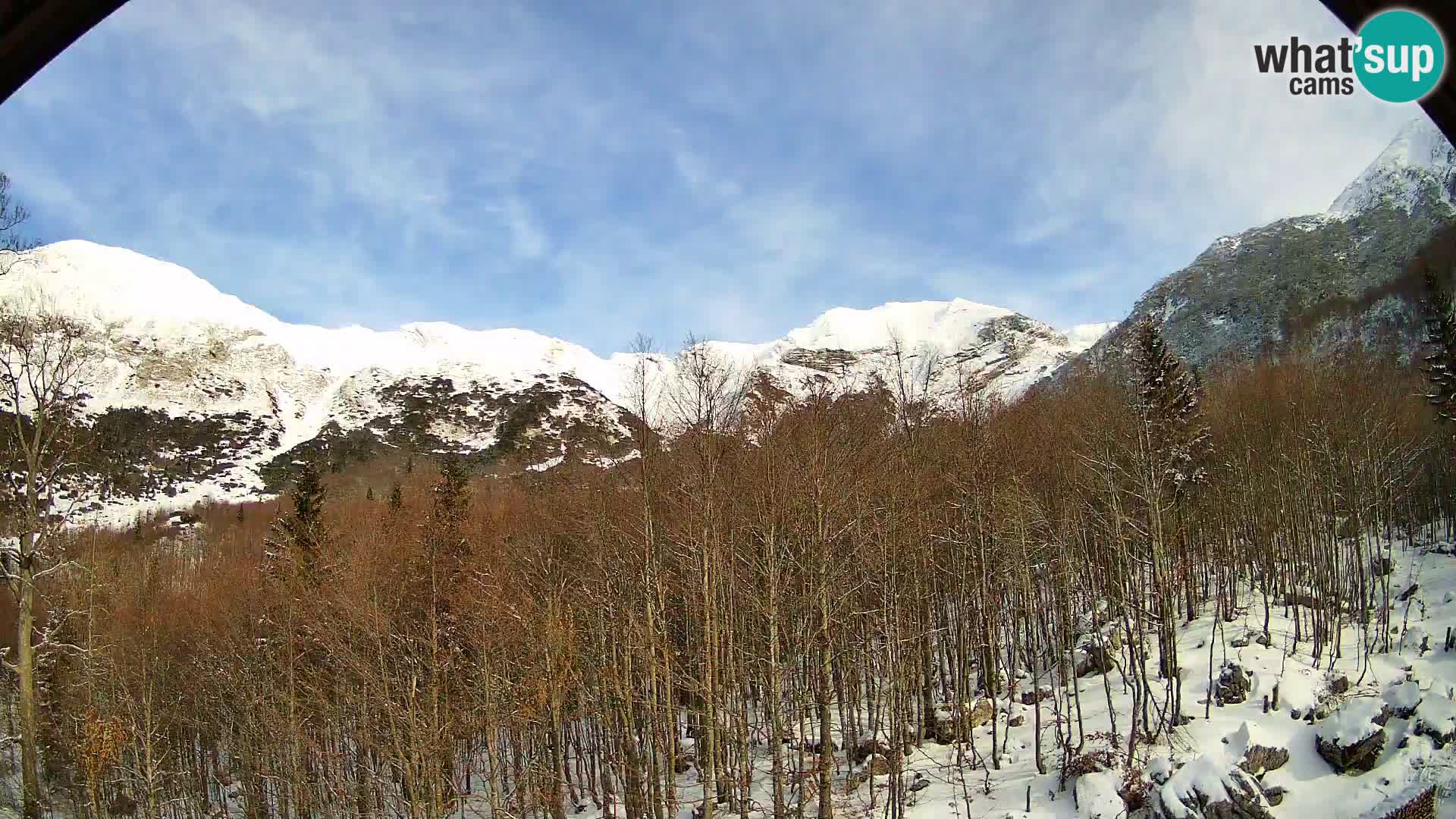 PLANINA RAZOR Live Cam (1315) | vista su Vogel e Globoko