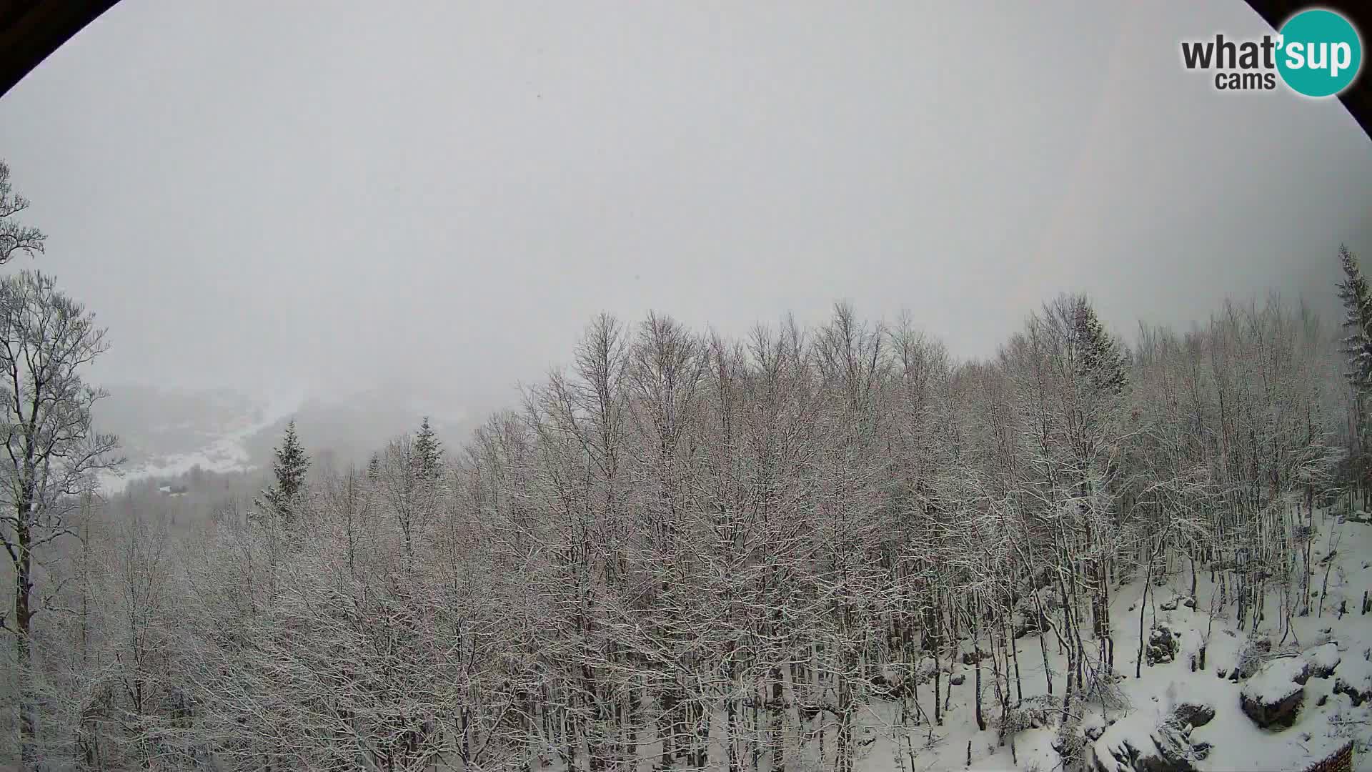 Cámara web PLANINA RAZOR (1315) | vista a Vogel y Globoko