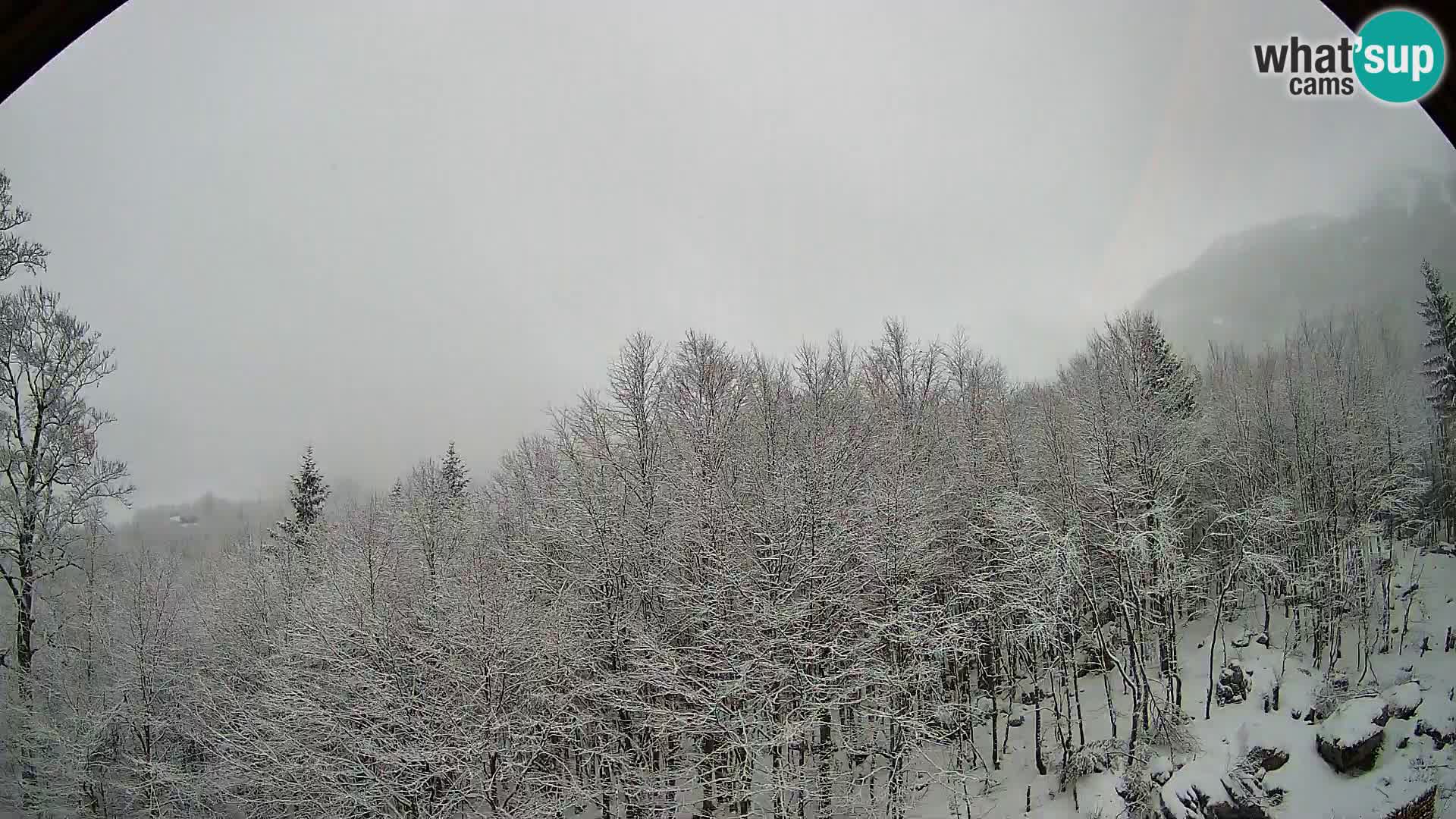 PLANINA RAZOR web kamera (1315) | pogled na Vogel i Globoko