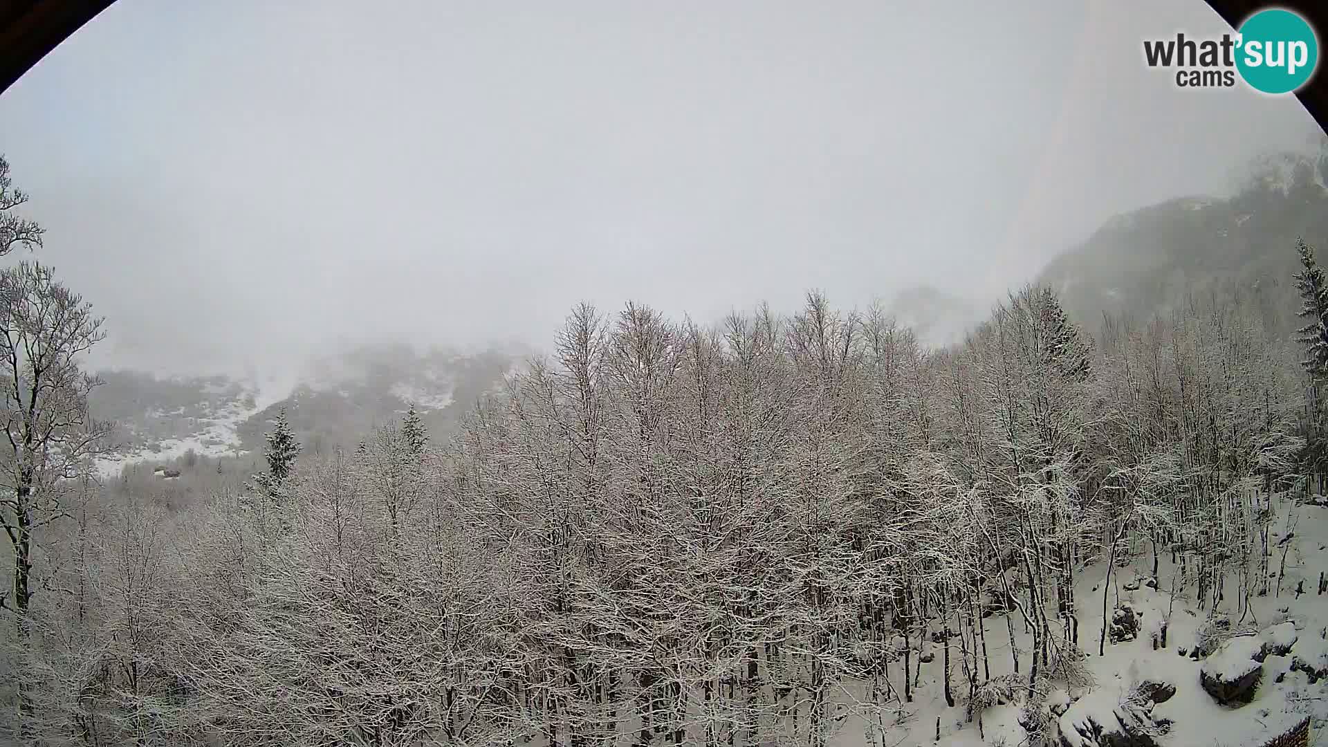 PLANINA RAZOR web kamera (1315) | pogled na Vogel i Globoko