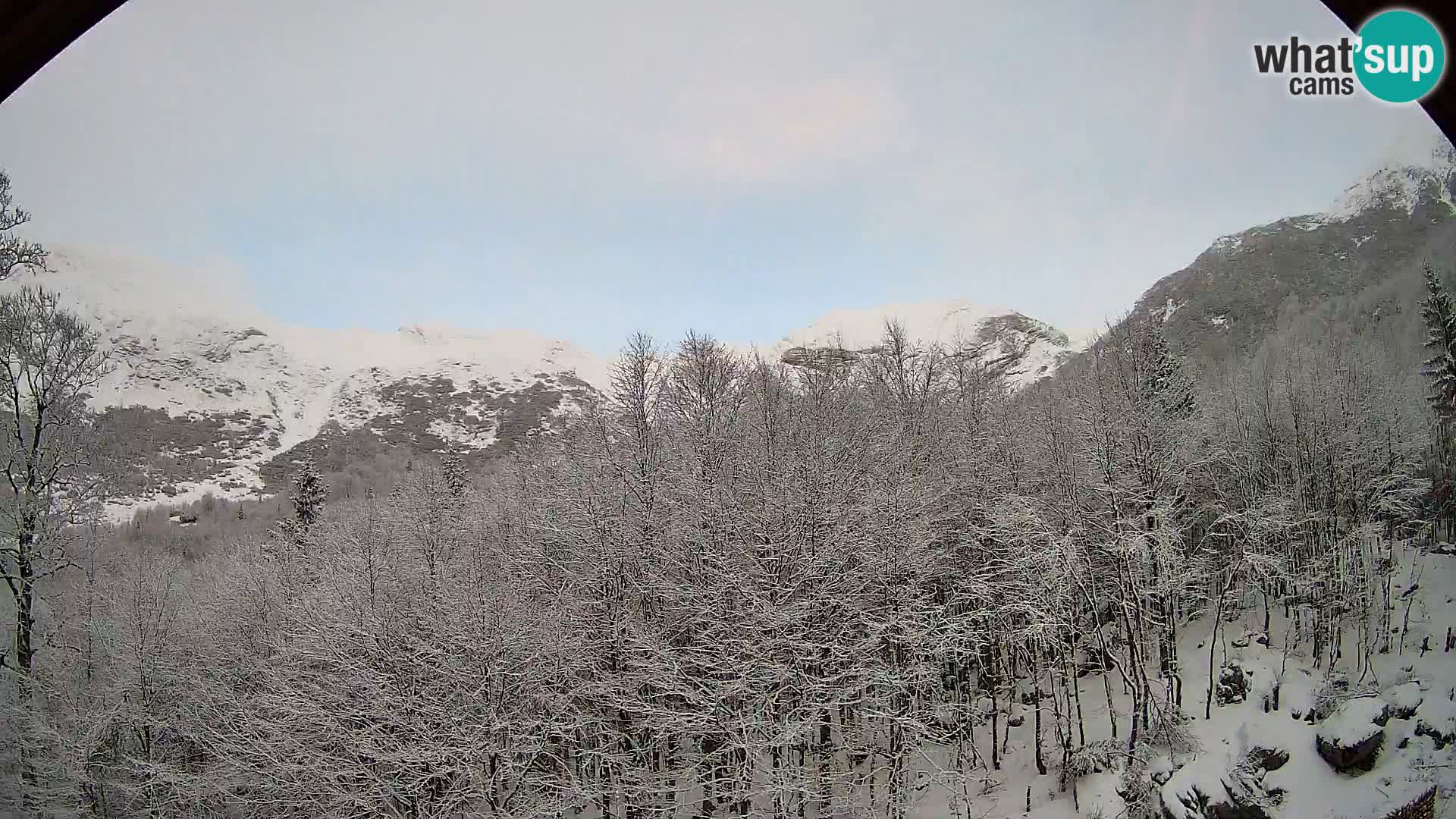 Livecam PLANINA RAZOR (1315) | vue sur Vogel et Globoko