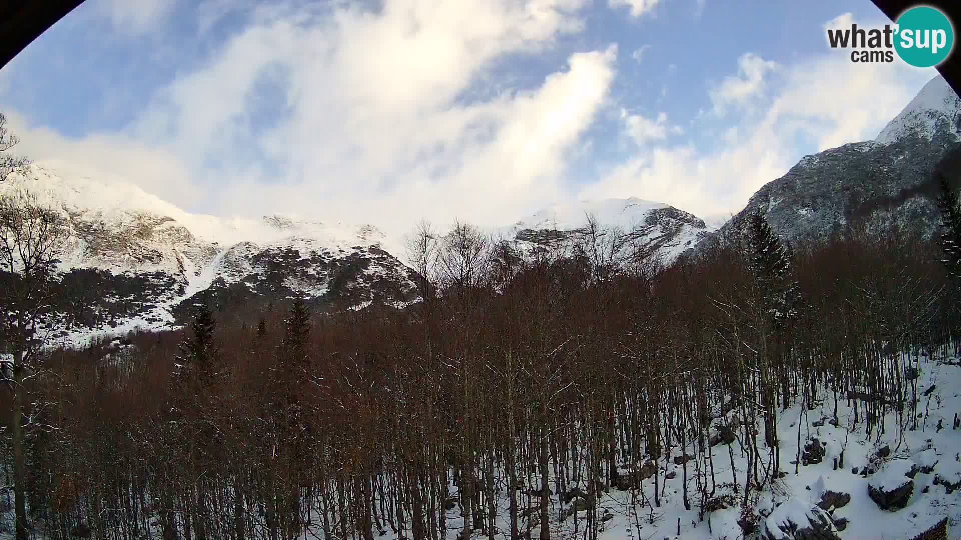PLANINA RAZOR kamera (1315) | pogled na Vogel in Globoko