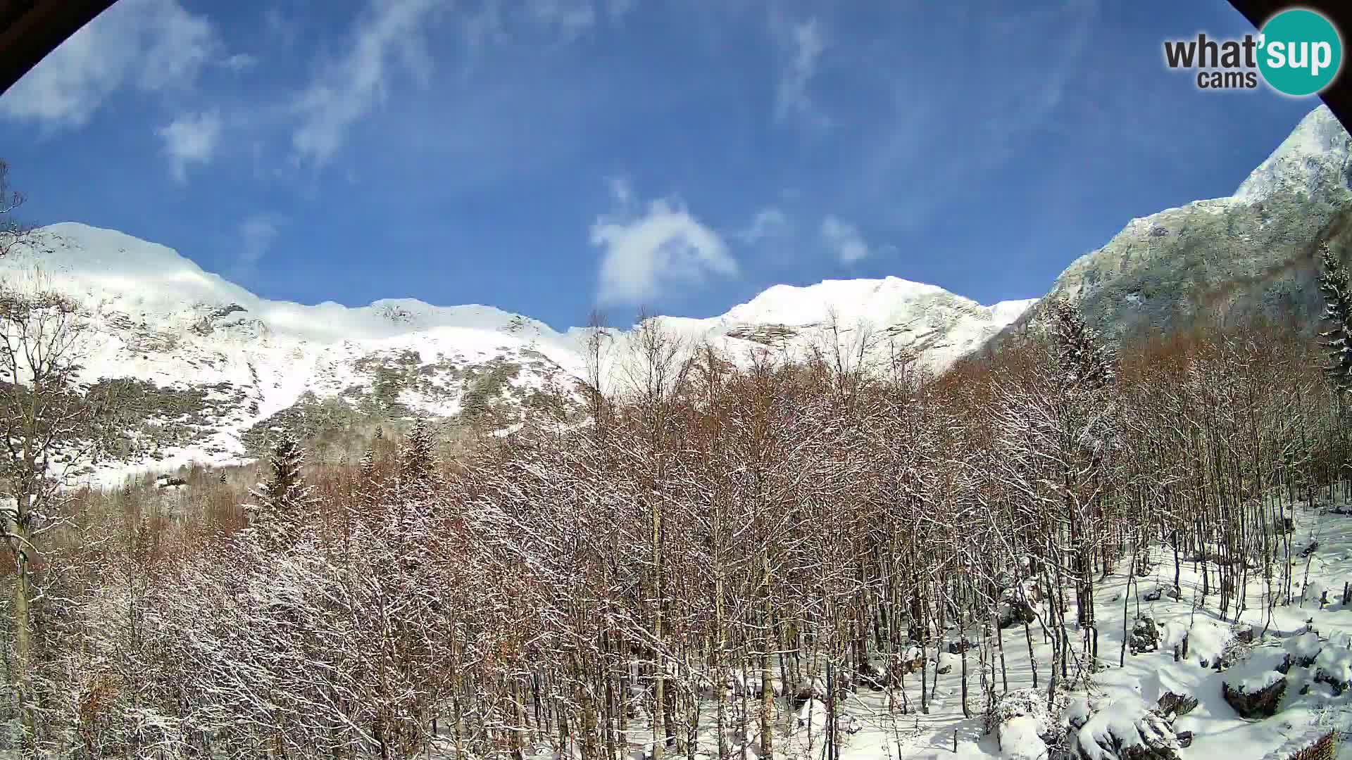 PLANINA RAZOR kamera (1315) | pogled na Vogel in Globoko