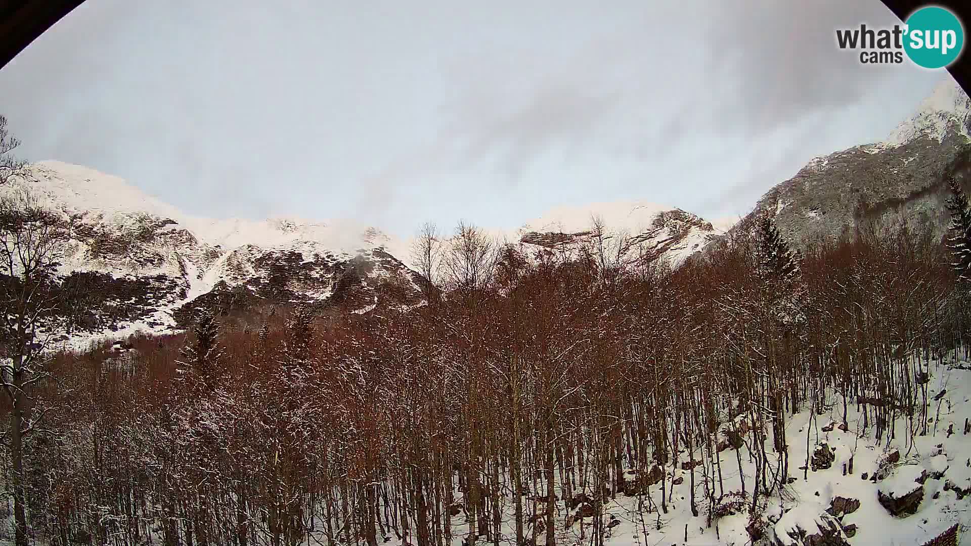 Cámara web PLANINA RAZOR (1315) | vista a Vogel y Globoko