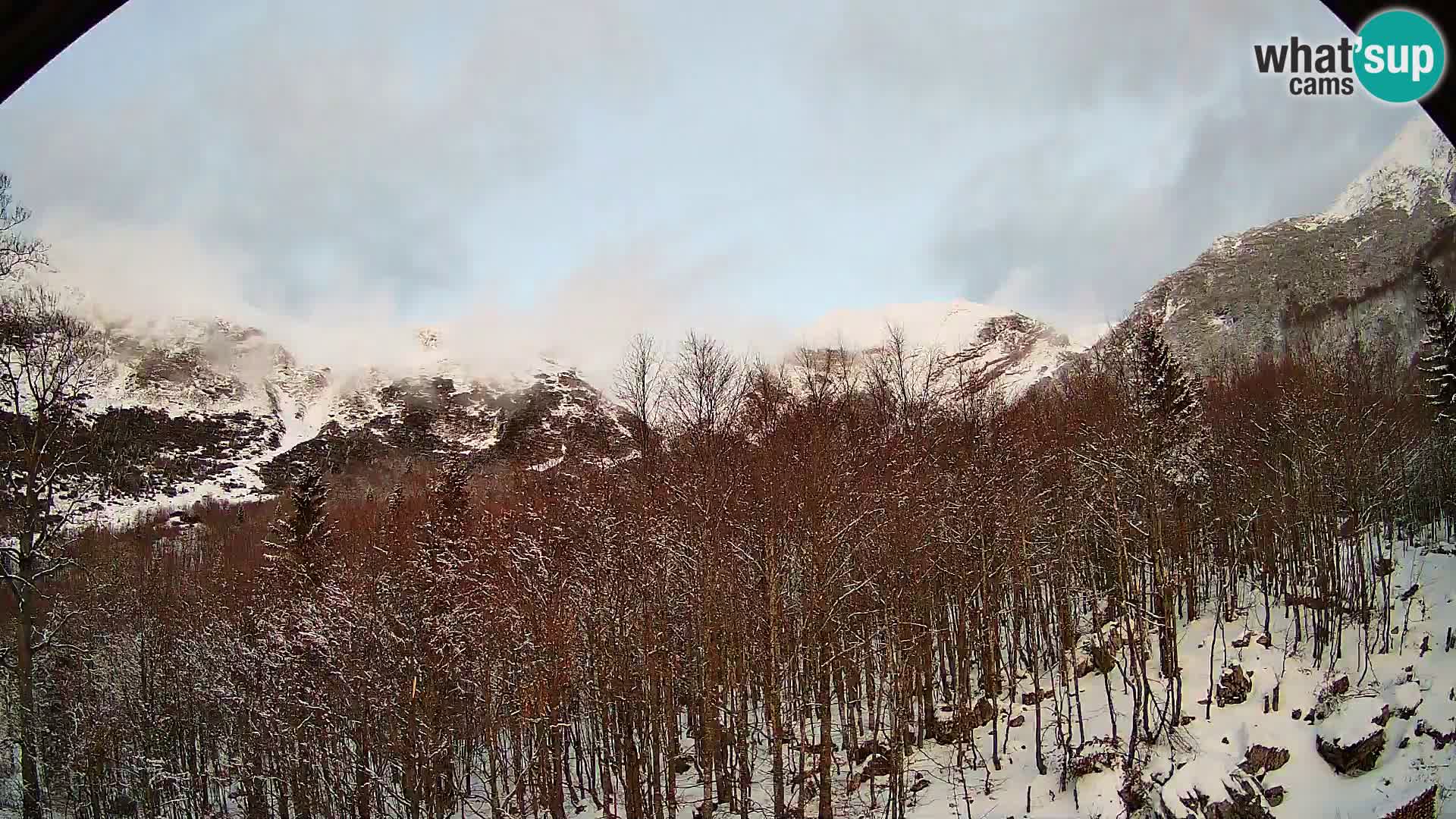 PLANINA RAZOR Live Cam (1315) | vista su Vogel e Globoko