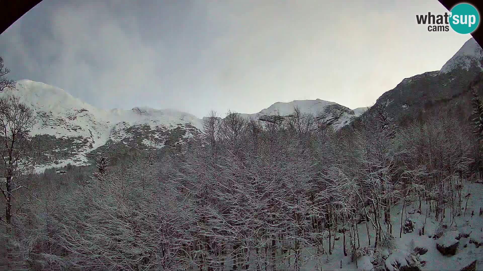 PLANINA RAZOR Live Cam (1315) | vista su Vogel e Globoko