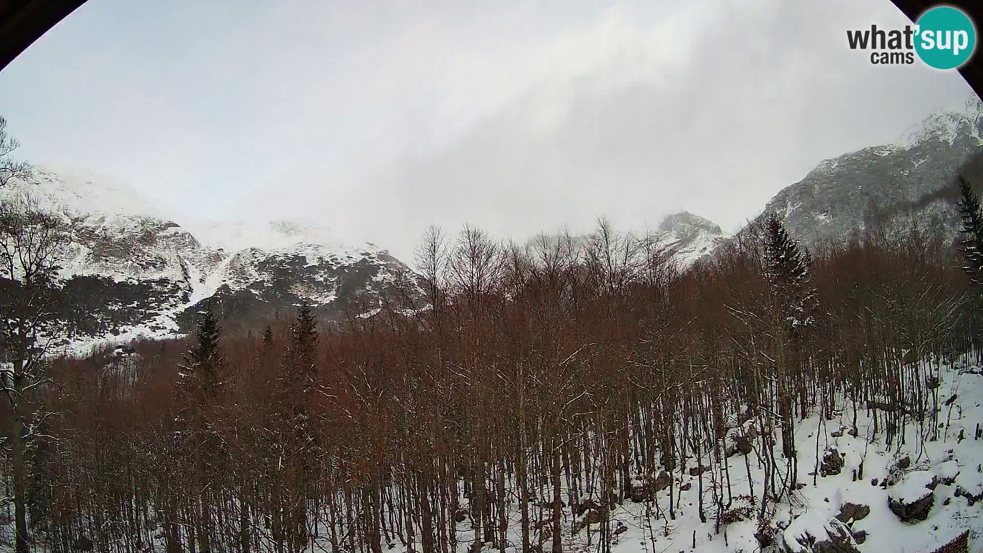 PLANINA RAZOR Live Cam (1315) | vista su Vogel e Globoko
