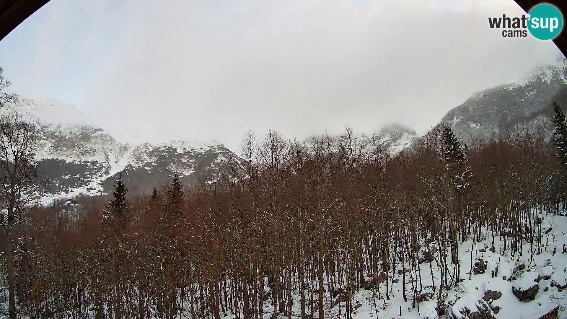 PLANINA RAZOR Live Cam (1315) | vista su Vogel e Globoko