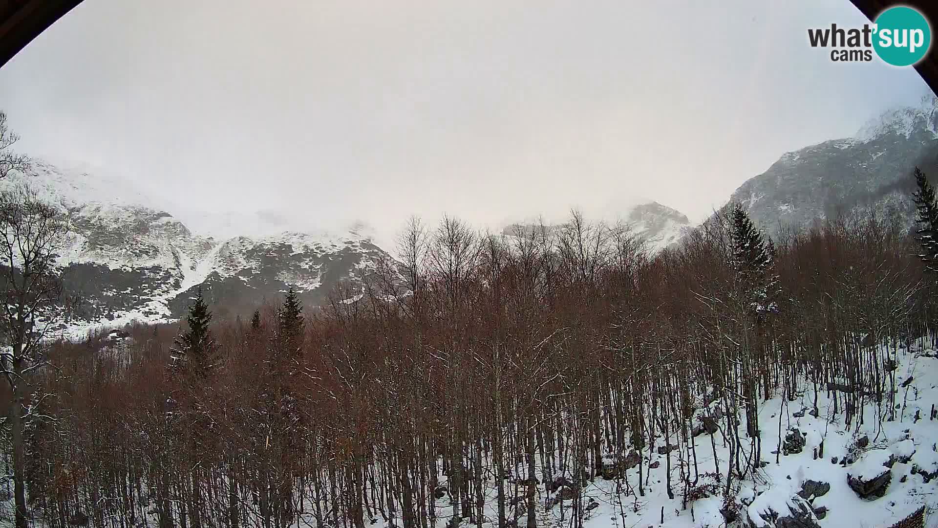 PLANINA RAZOR webcam (1315) | view to Vogel and Globoko