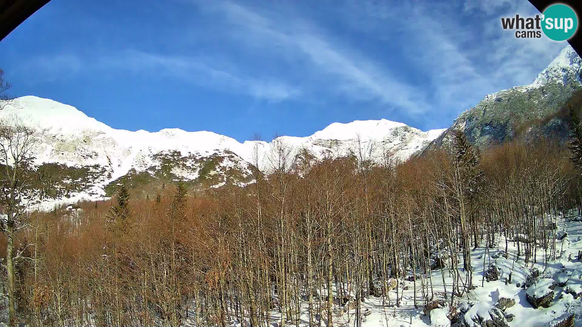 Webcam PLANINA RAZOR (1315) | Blick auf Vogel und Globoko
