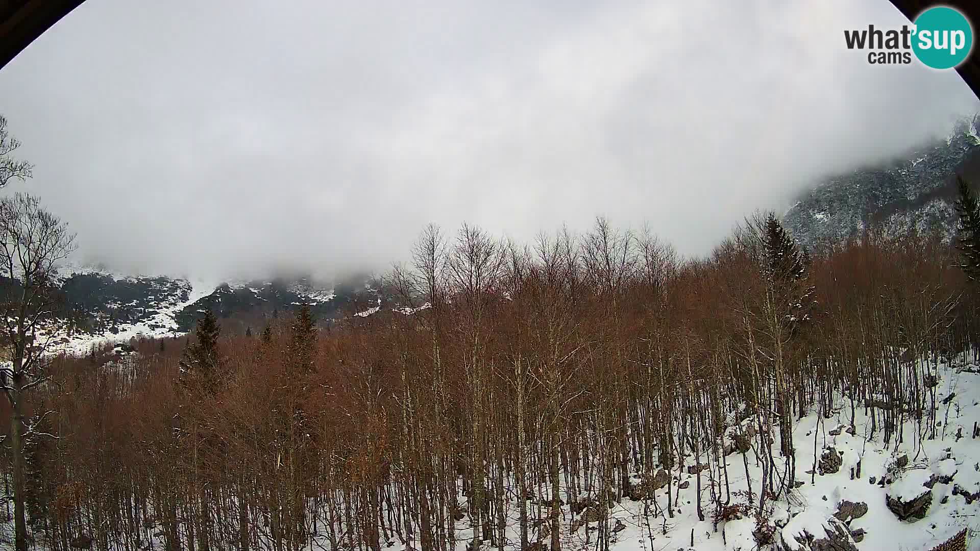 Webcam PLANINA RAZOR (1315) | Blick auf Vogel und Globoko