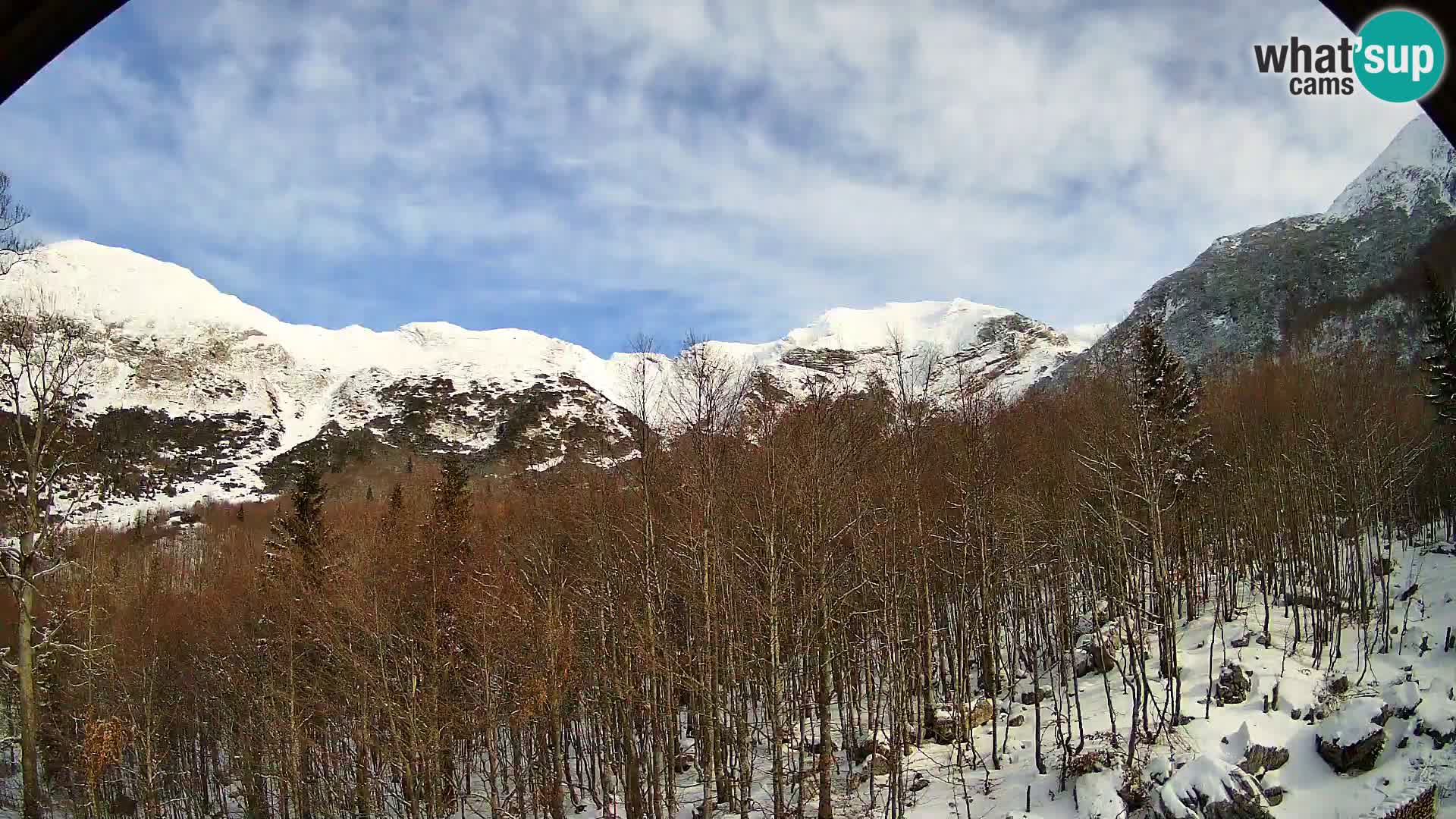 PLANINA RAZOR Live Cam (1315) | vista su Vogel e Globoko