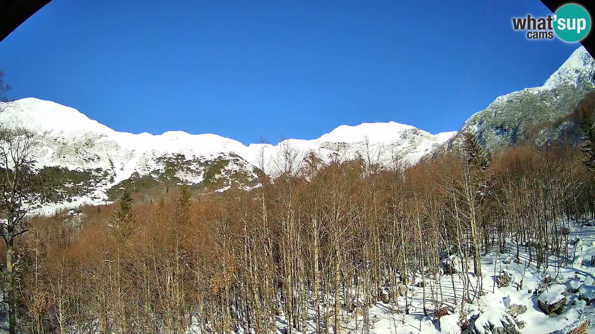 Webcam PLANINA RAZOR (1315) | Blick auf Vogel und Globoko