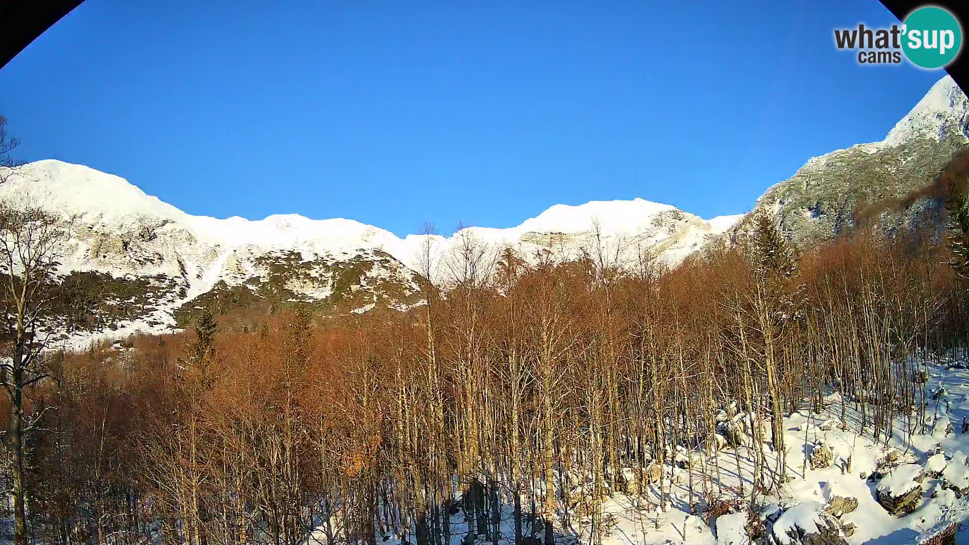 PLANINA RAZOR webcam (1315) | view to Vogel and Globoko