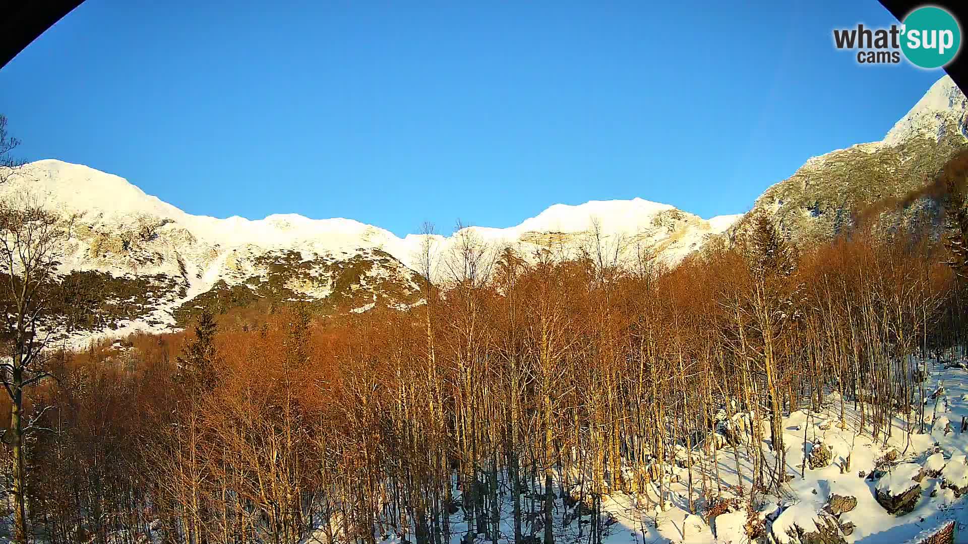 PLANINA RAZOR web kamera (1315) | pogled na Vogel i Globoko