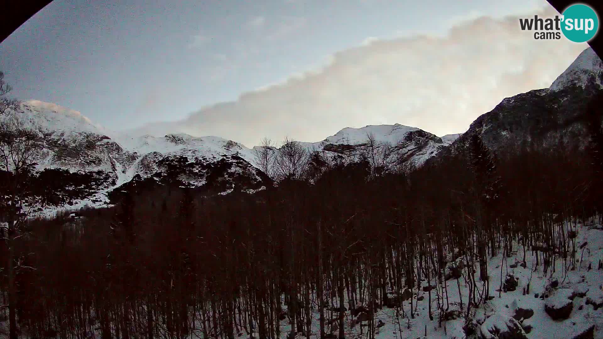 PLANINA RAZOR webcam (1315) | view to Vogel and Globoko