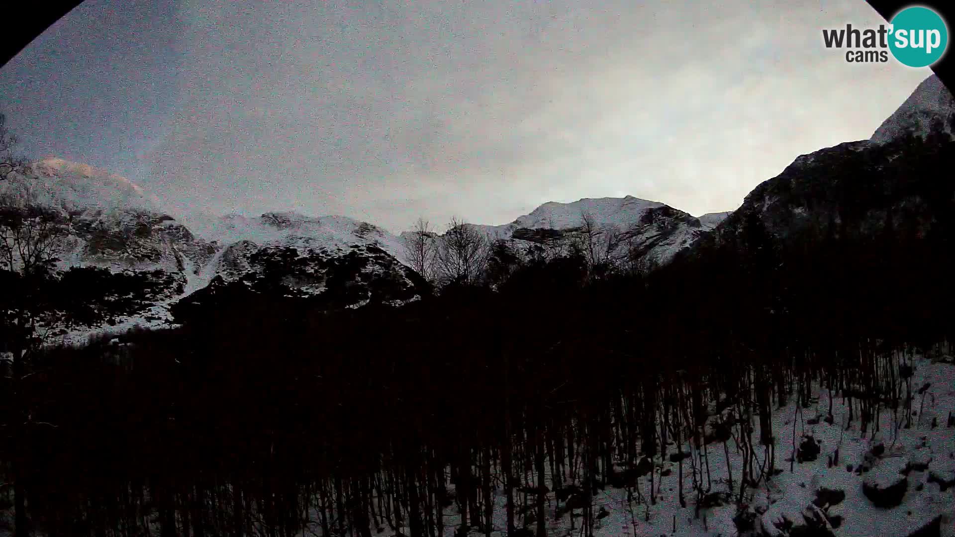 PLANINA RAZOR webcam (1315) | view to Vogel and Globoko