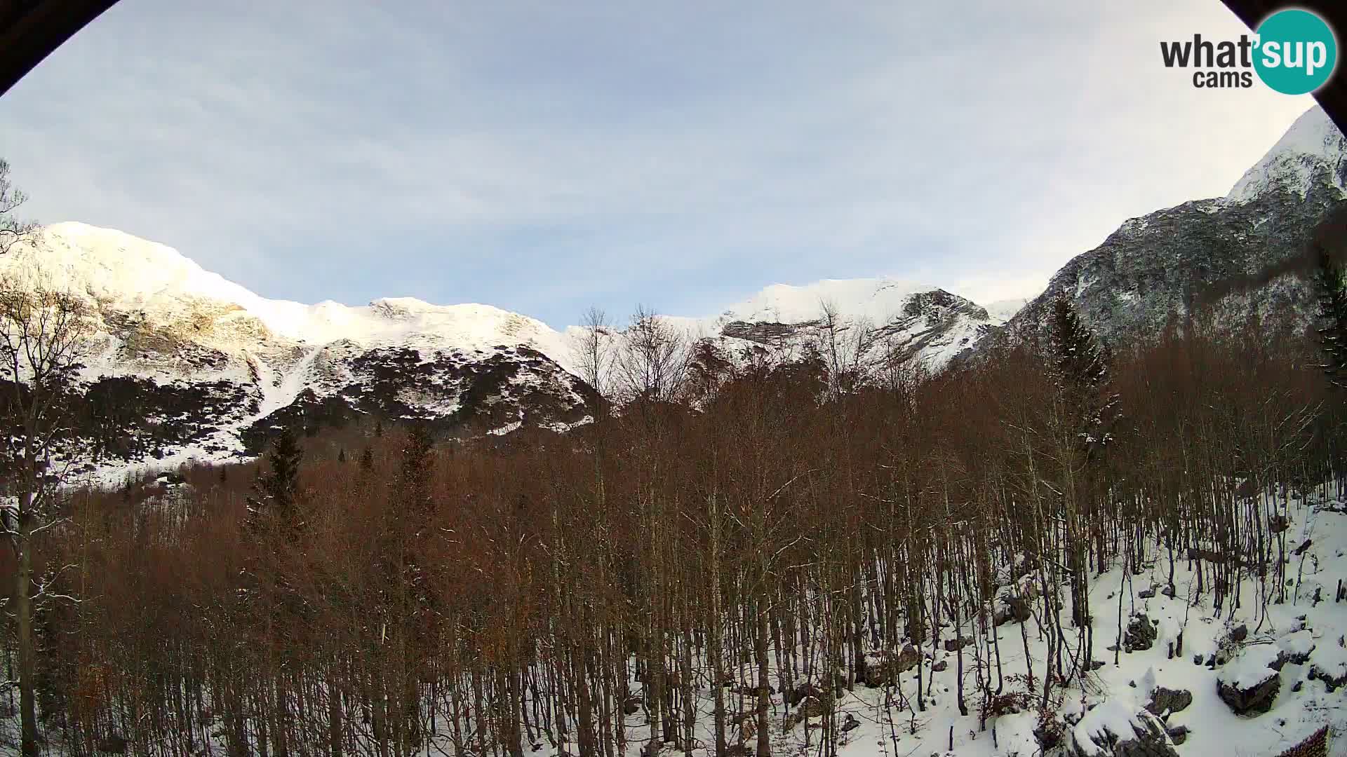 PLANINA RAZOR Live Cam (1315) | vista su Vogel e Globoko