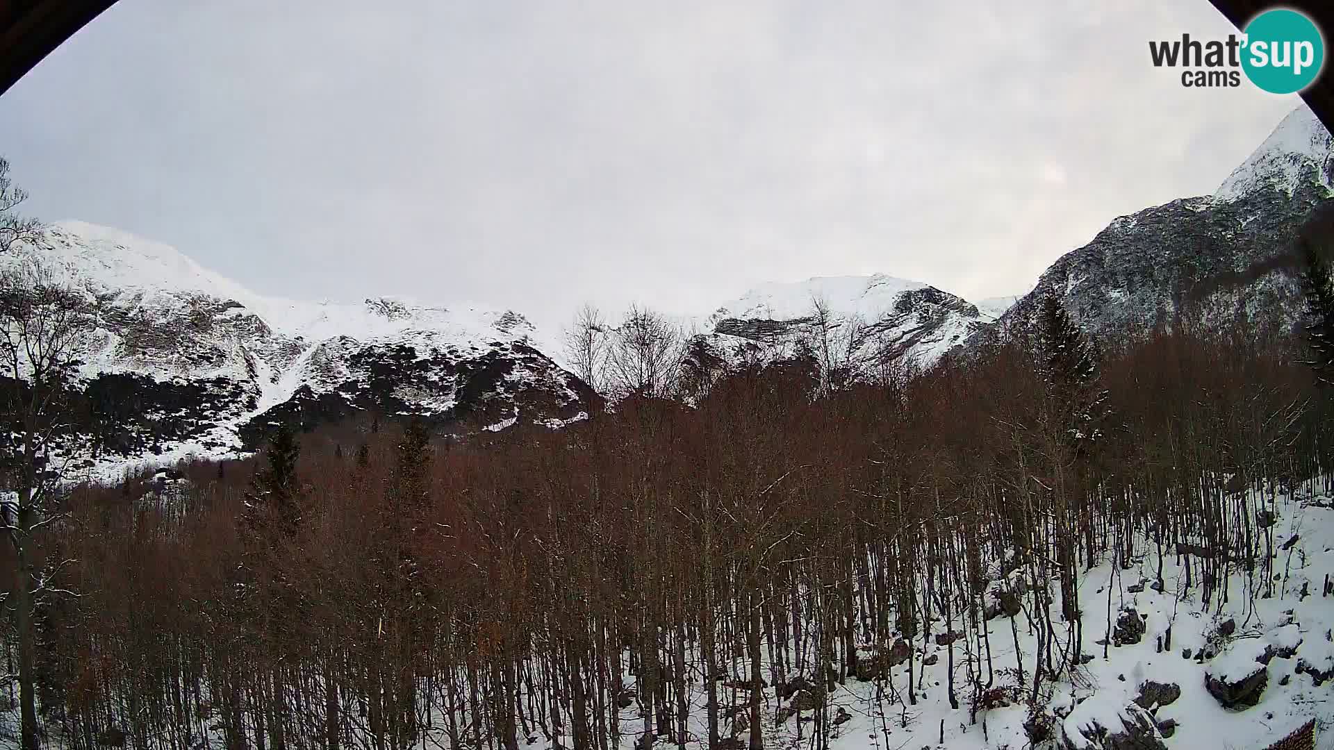PLANINA RAZOR Live Cam (1315) | vista su Vogel e Globoko