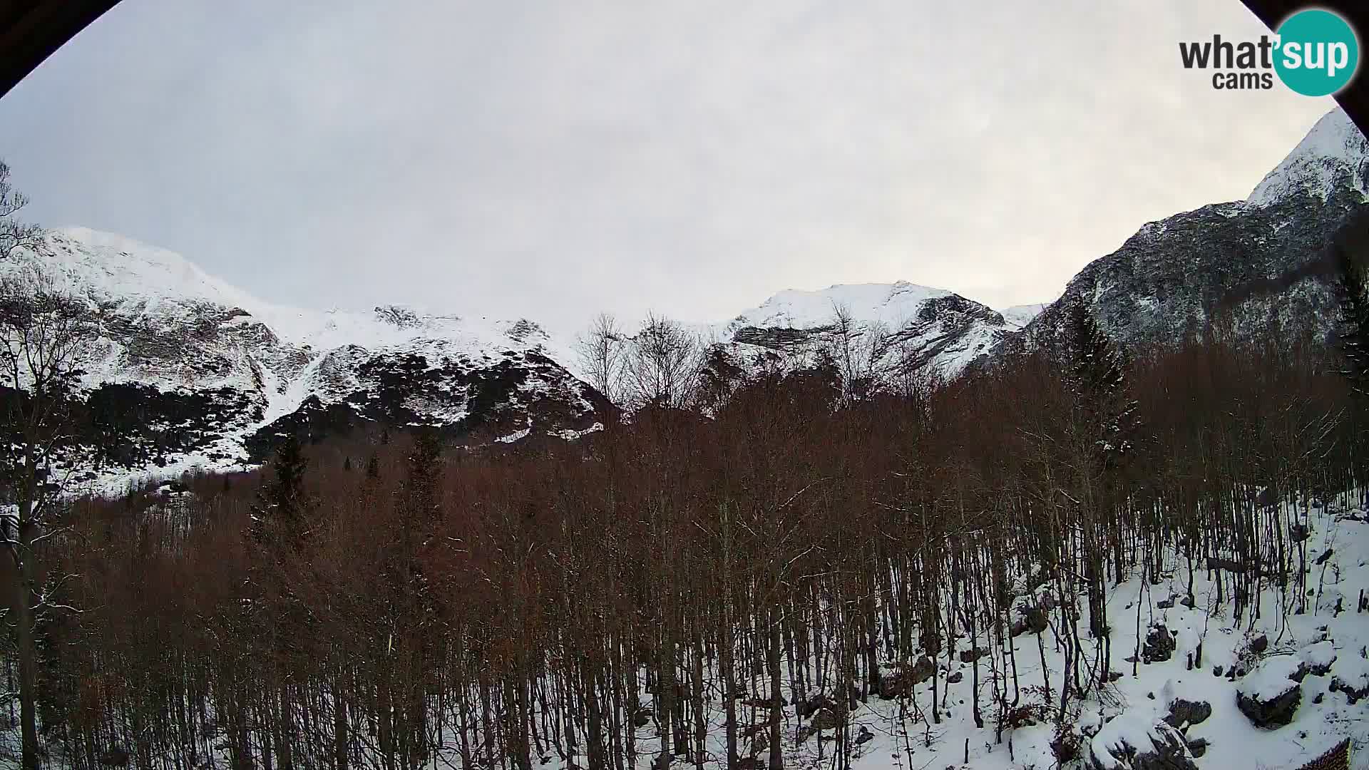 Webcam PLANINA RAZOR (1315) | Blick auf Vogel und Globoko