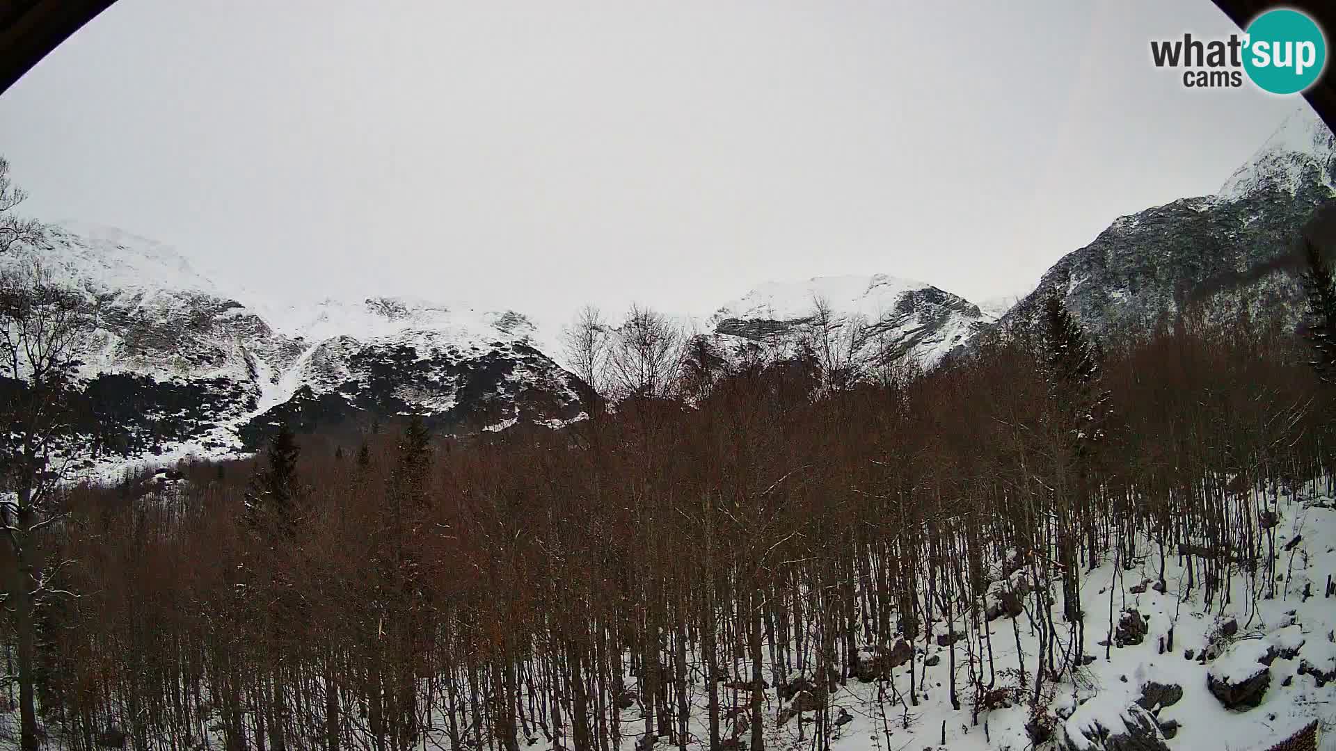 PLANINA RAZOR web kamera (1315) | pogled na Vogel i Globoko