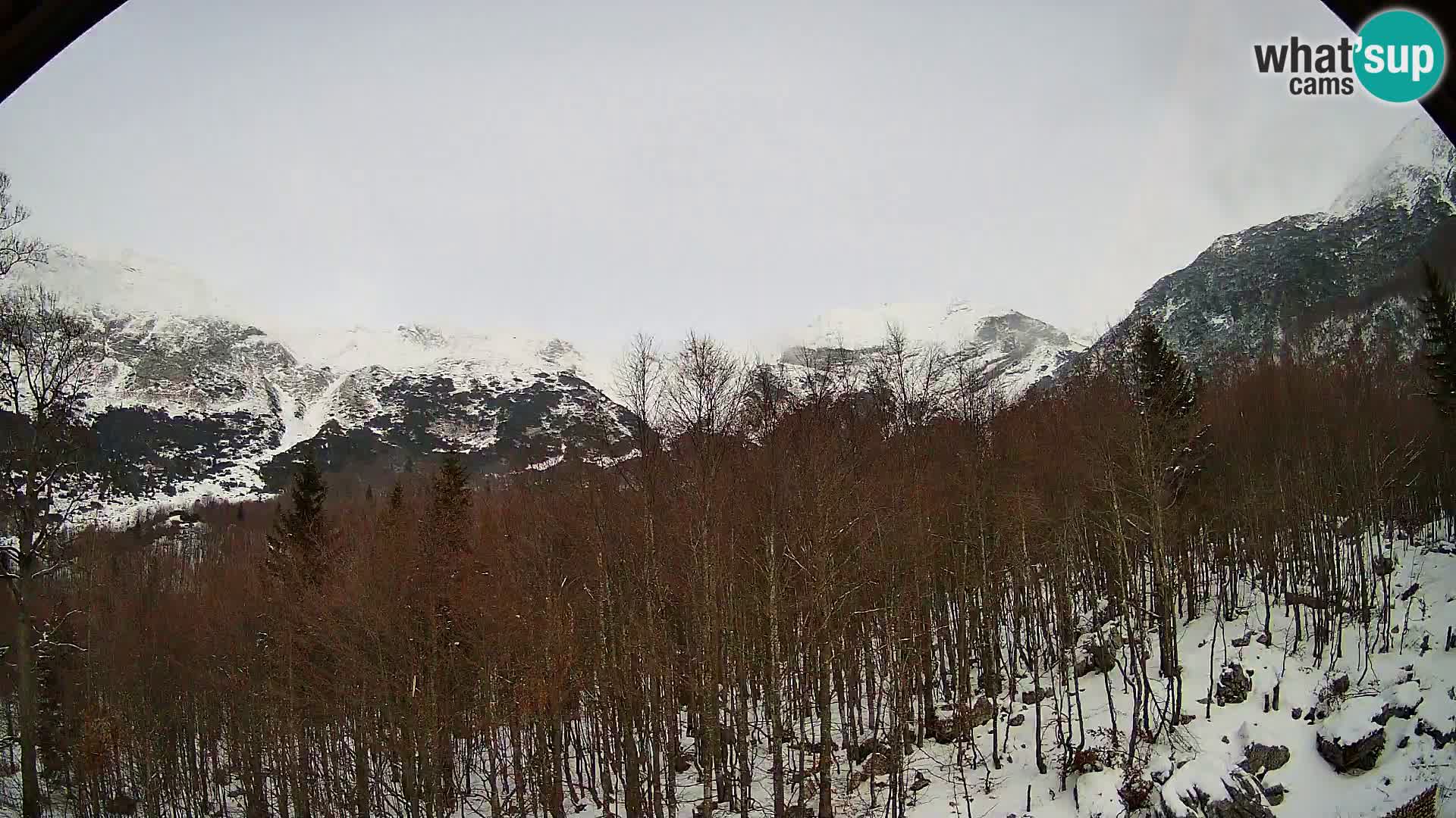 PLANINA RAZOR kamera (1315) | pogled na Vogel in Globoko