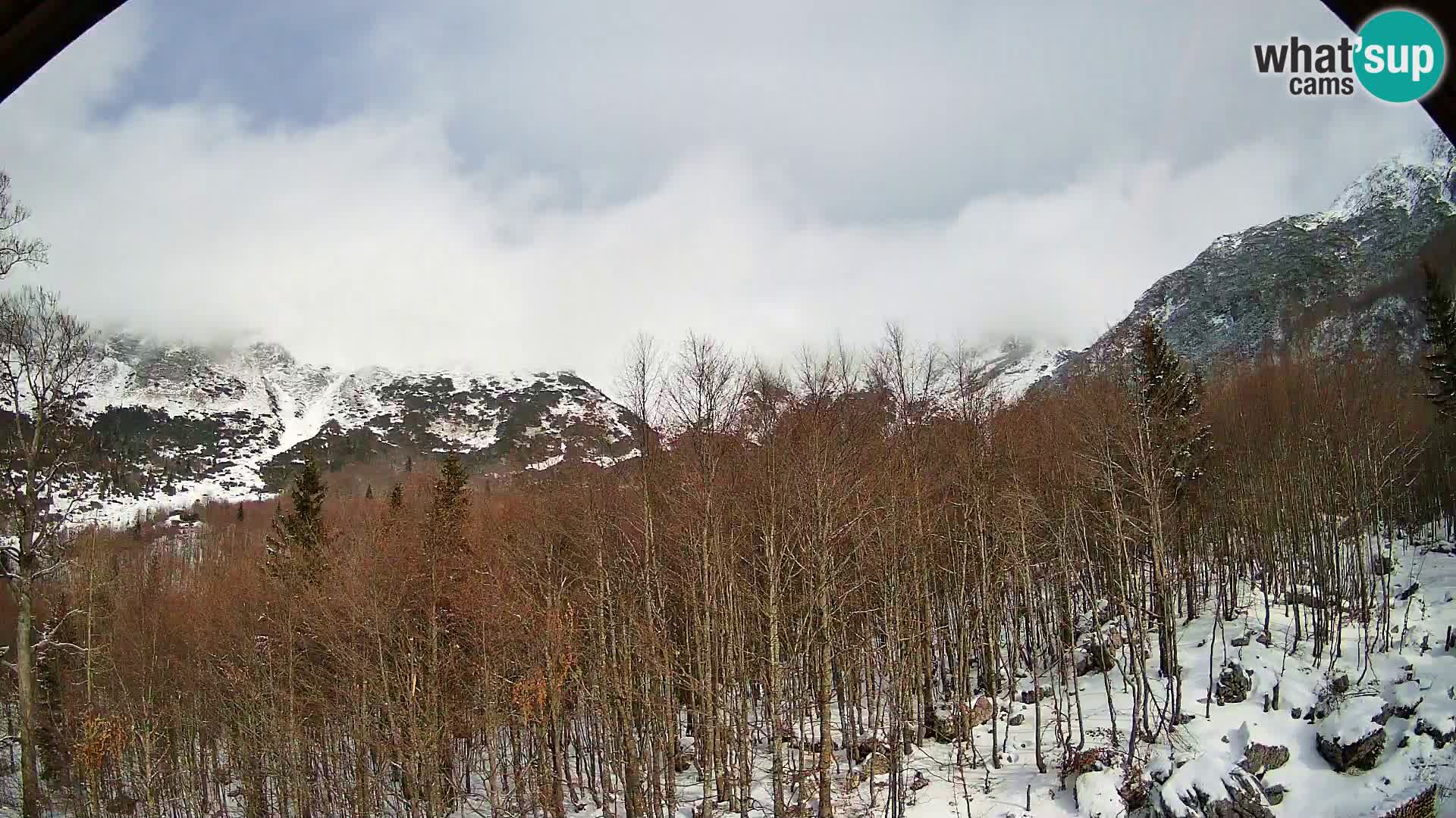 PLANINA RAZOR Live Cam (1315) | vista su Vogel e Globoko