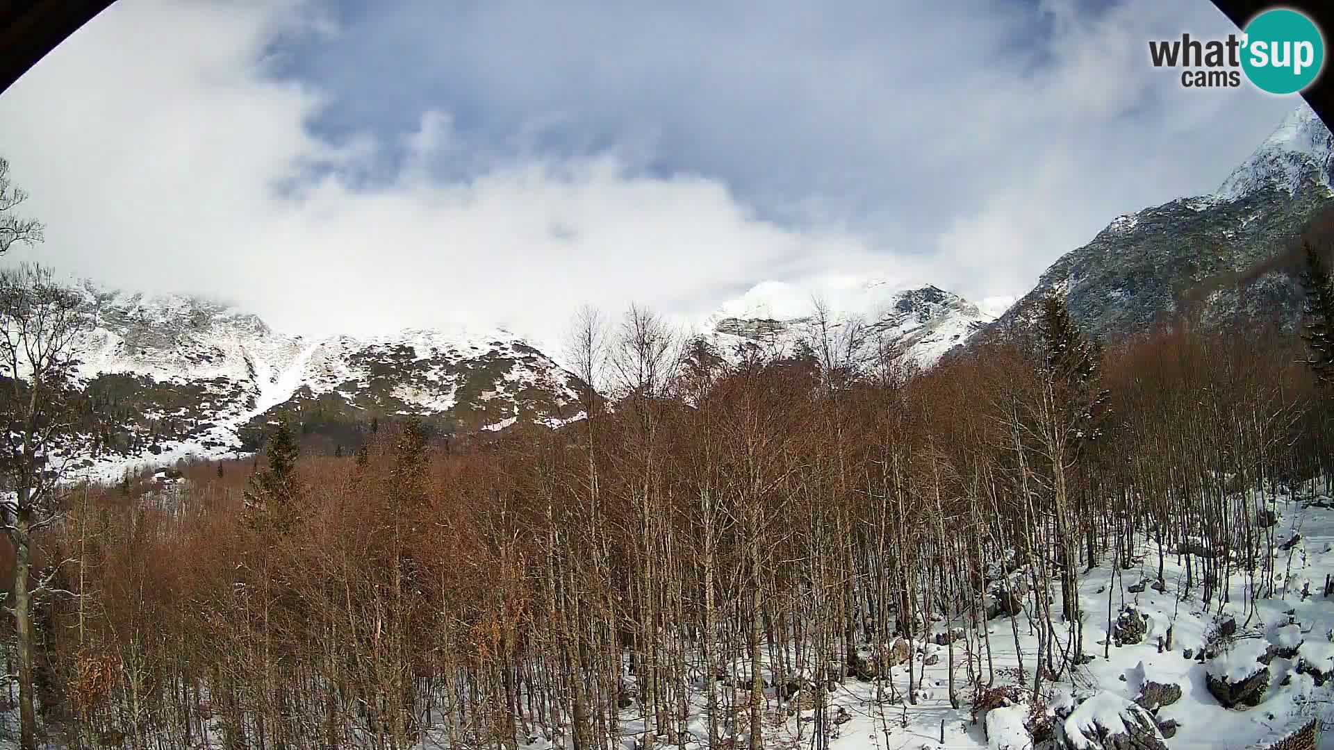 PLANINA RAZOR webcam (1315) | view to Vogel and Globoko